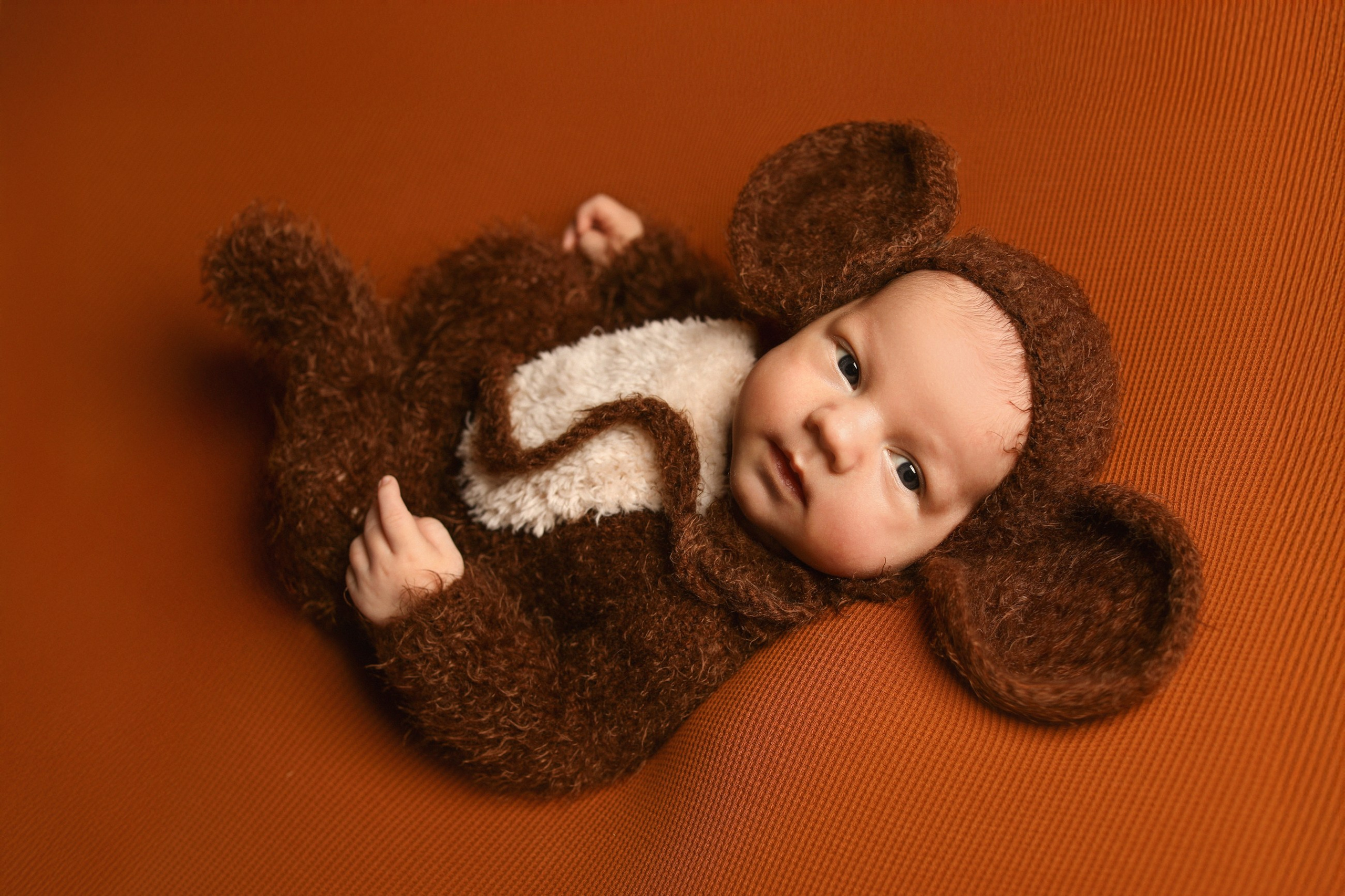 Новорожденные мальчики. Фотограф новорожденных в г. Великий Новгород — Екатерина Новикова