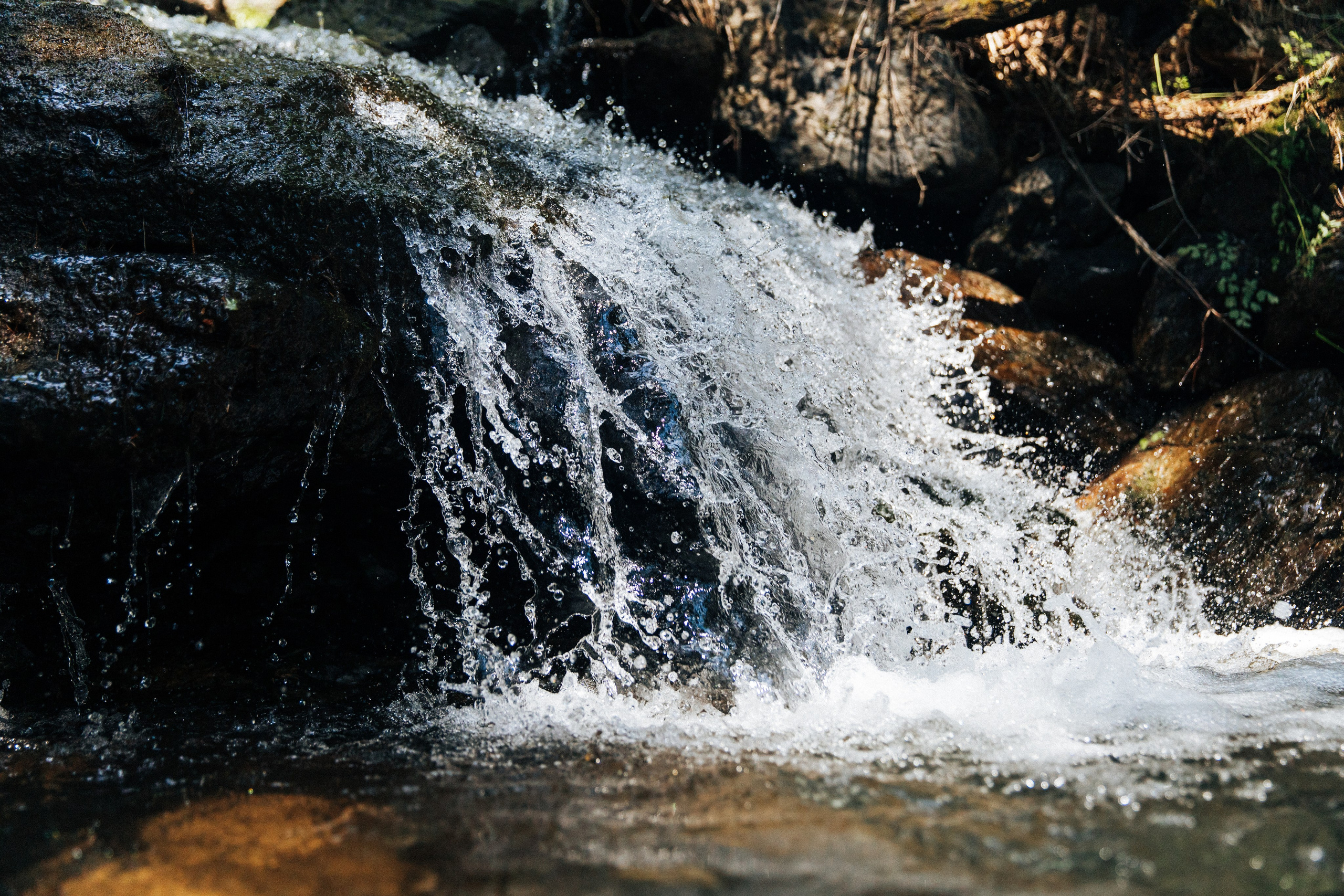 Клуб путешествий «Союз»