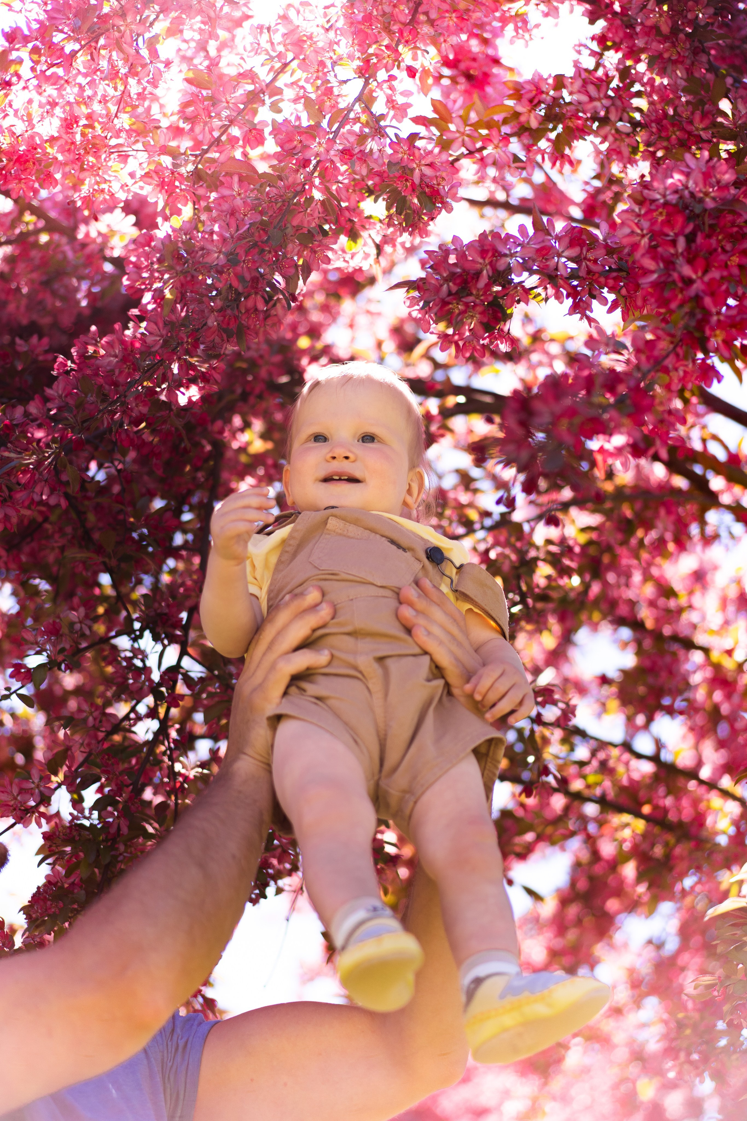 Прогулка в яблоневом саду. Семейный и детский фотограф в Санкт-Петербурге Дарина Герчиу