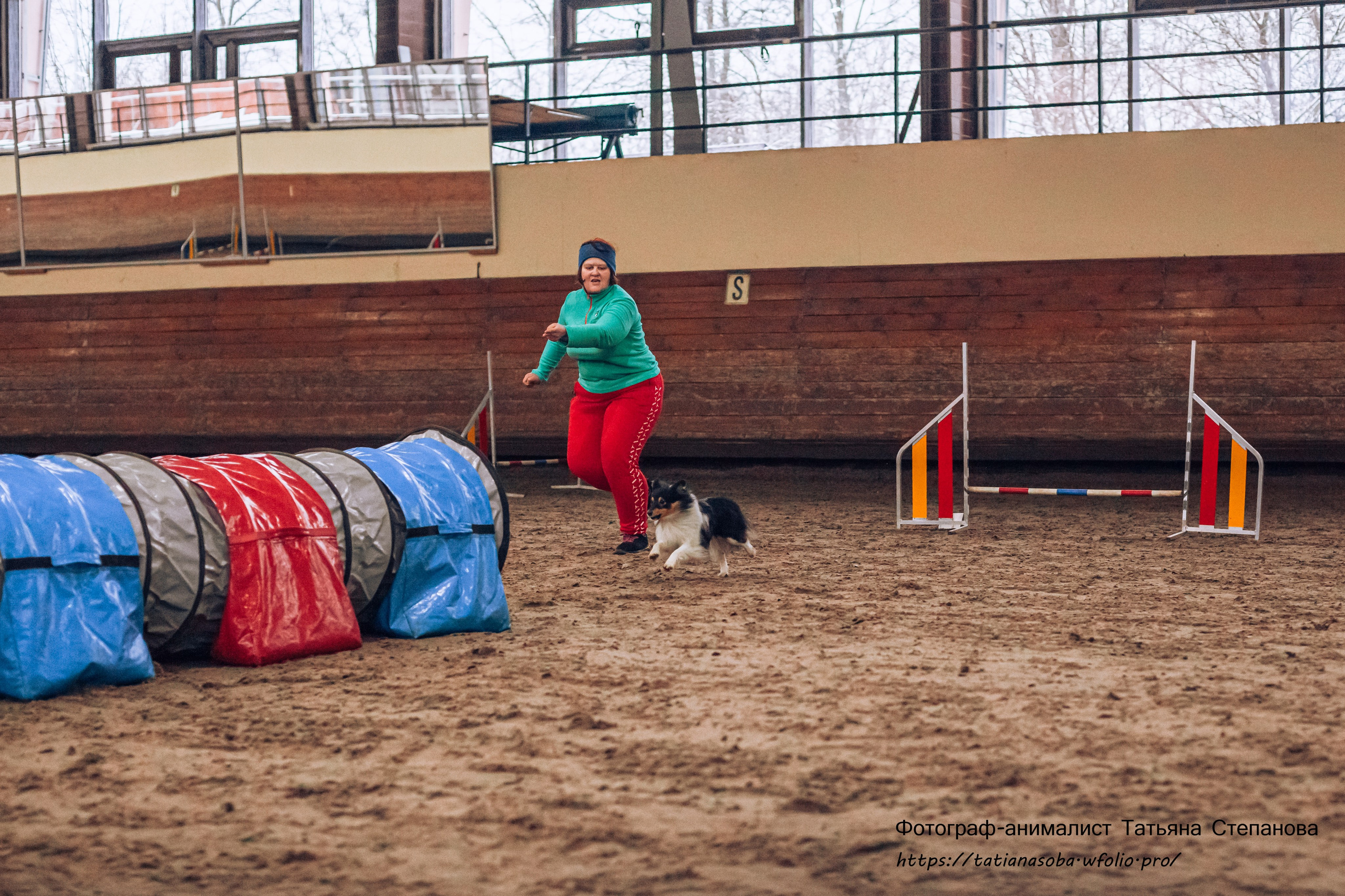 Соревнования по Аджилити 25.02.2024. Фотограф-анималист Татьяна Степанова