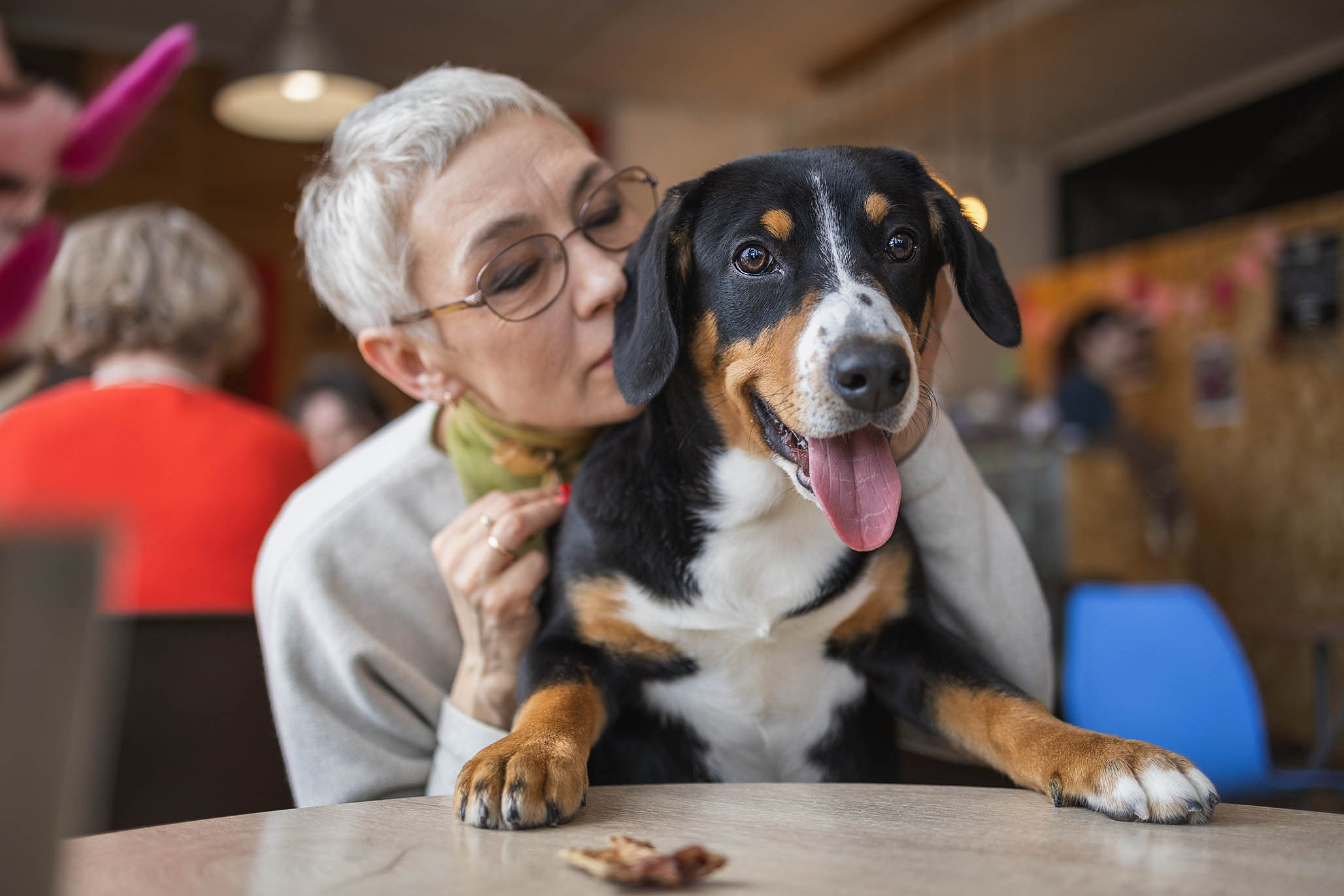 Кафе. Фотограф-анималист Александра Шеремет