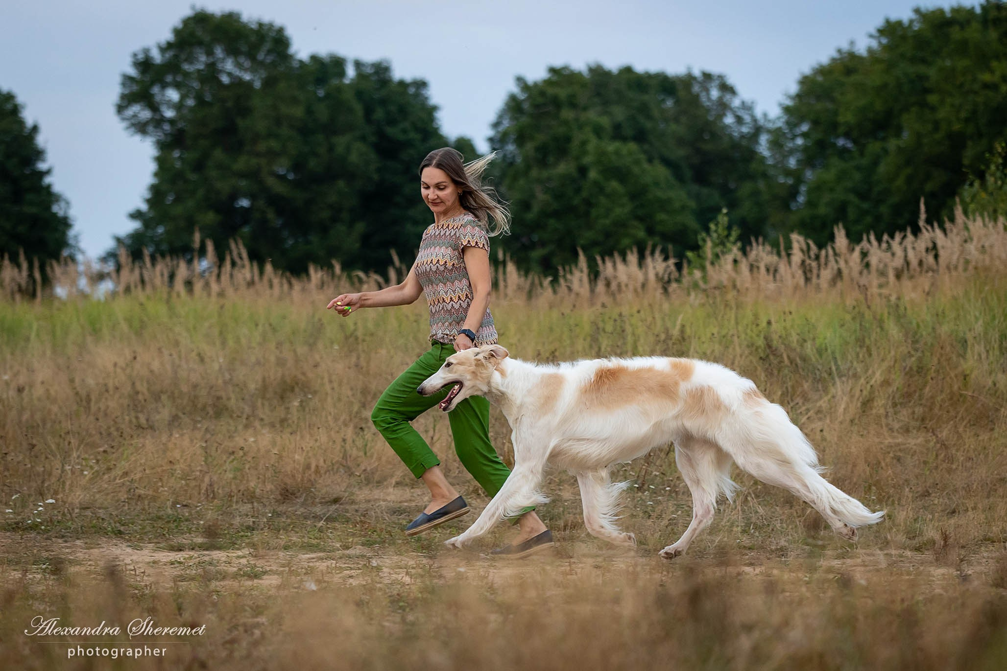 Борзые. Фотограф-анималист Александра Шеремет