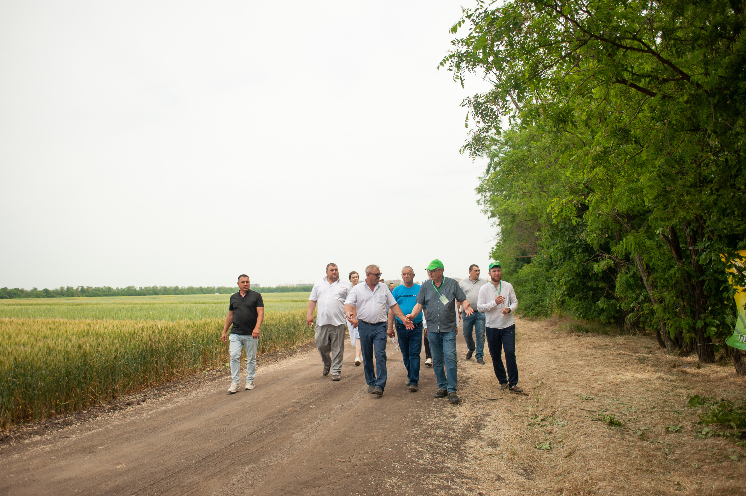 НЦЗ им. П. П. Лукьяненко «День поля». Свадебный и женский фотограф в Лиссабоне Яковлева Ольга