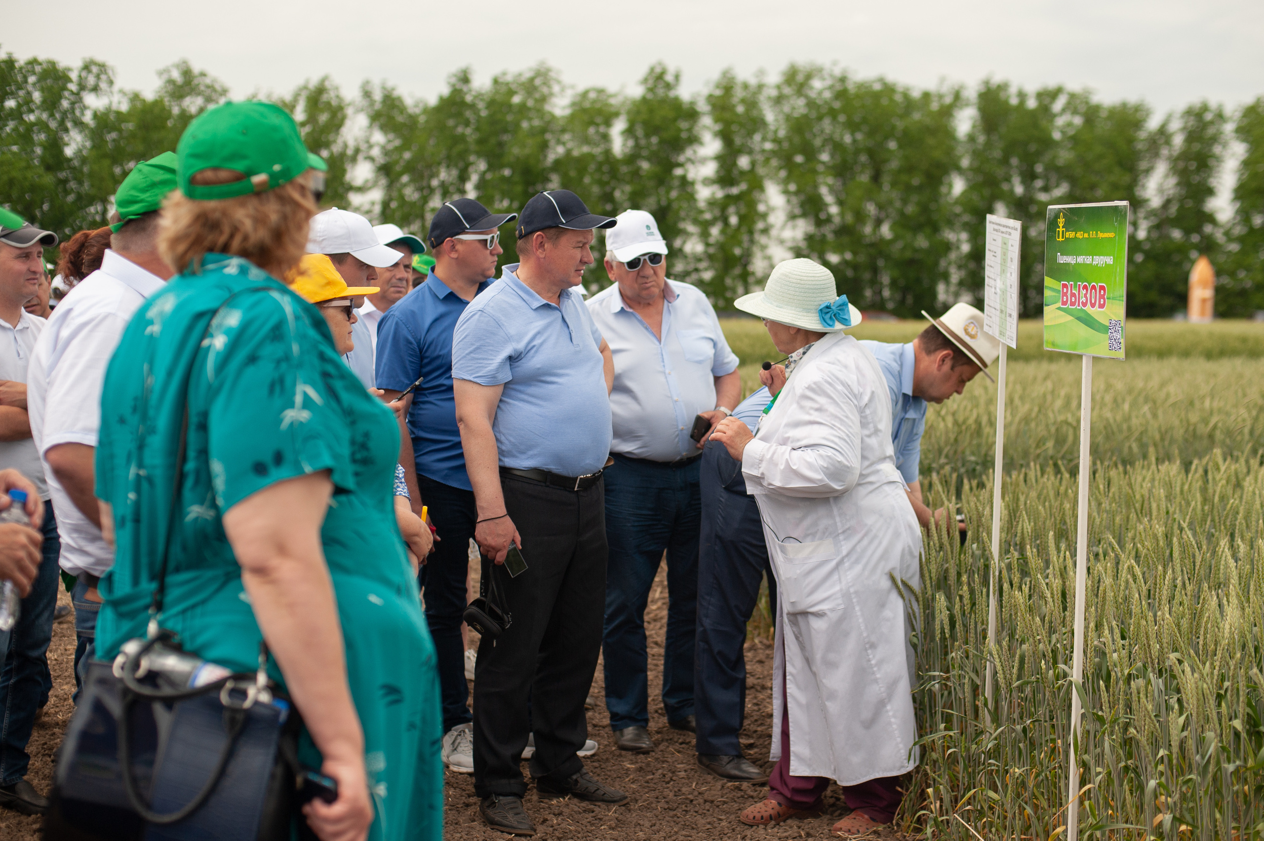 НЦЗ им. П. П. Лукьяненко «День поля». Свадебный и женский фотограф в Лиссабоне Яковлева Ольга