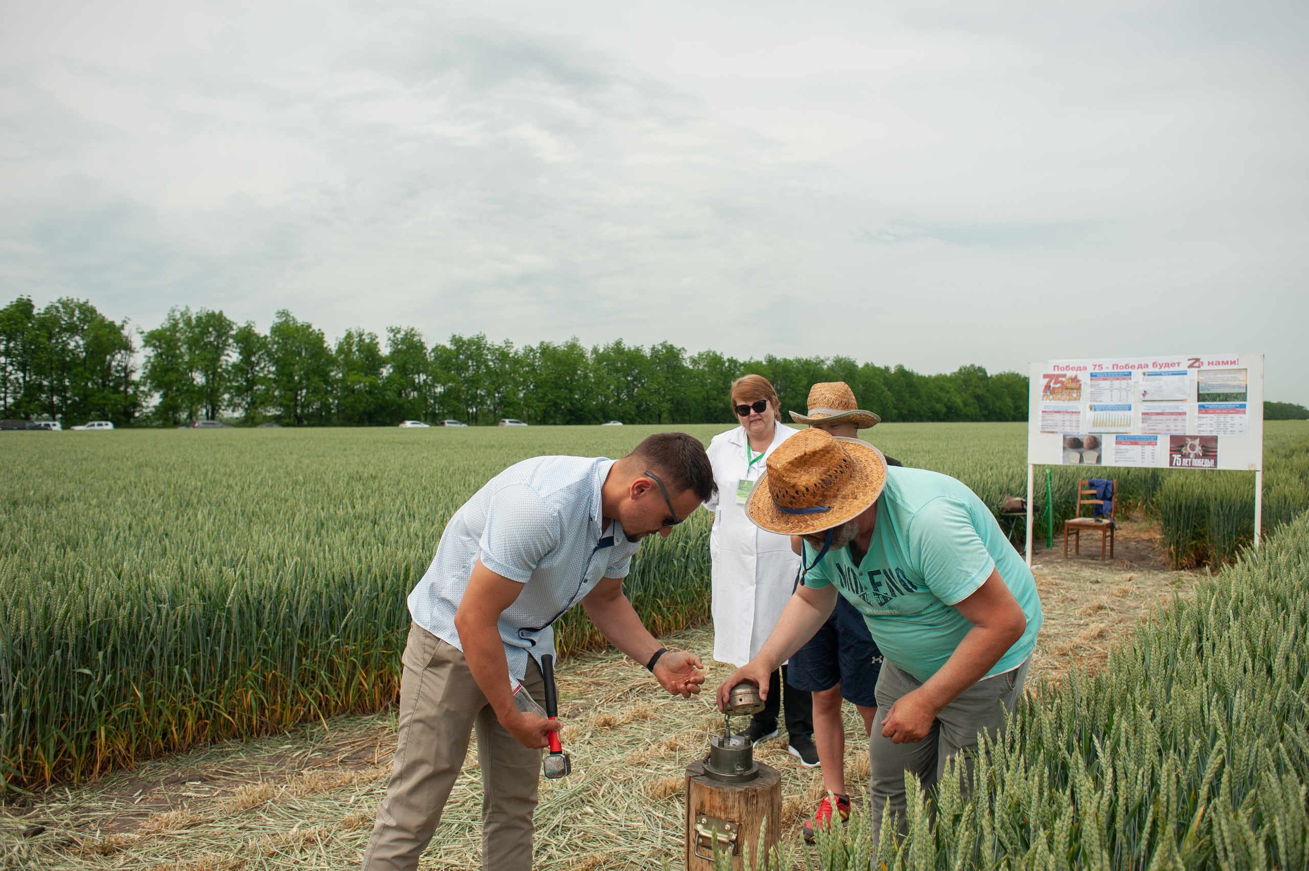 НЦЗ им. П. П. Лукьяненко «День поля». Свадебный и женский фотограф в Лиссабоне Яковлева Ольга