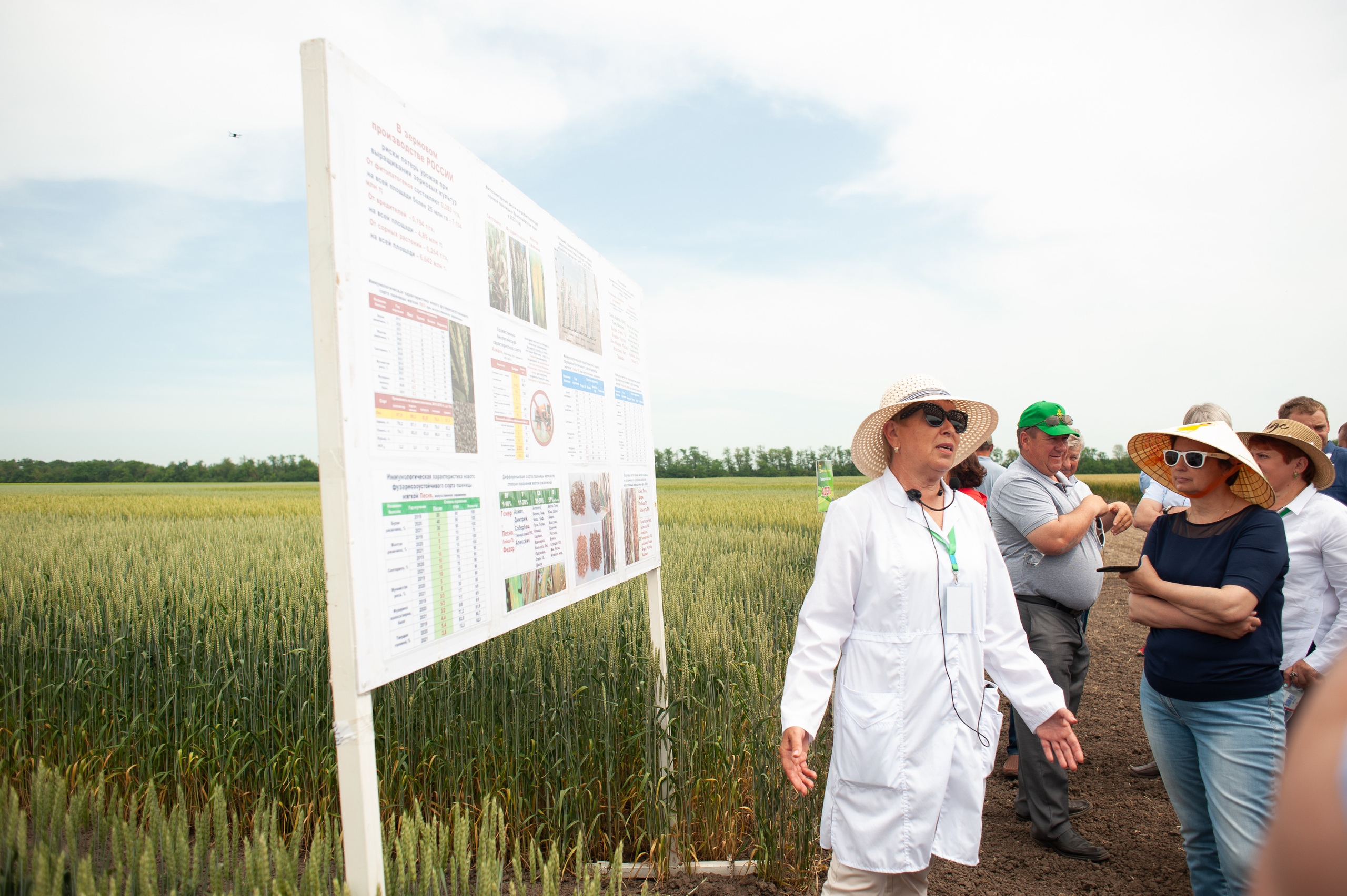 НЦЗ им. П. П. Лукьяненко «День поля». Свадебный и женский фотограф в Лиссабоне Яковлева Ольга