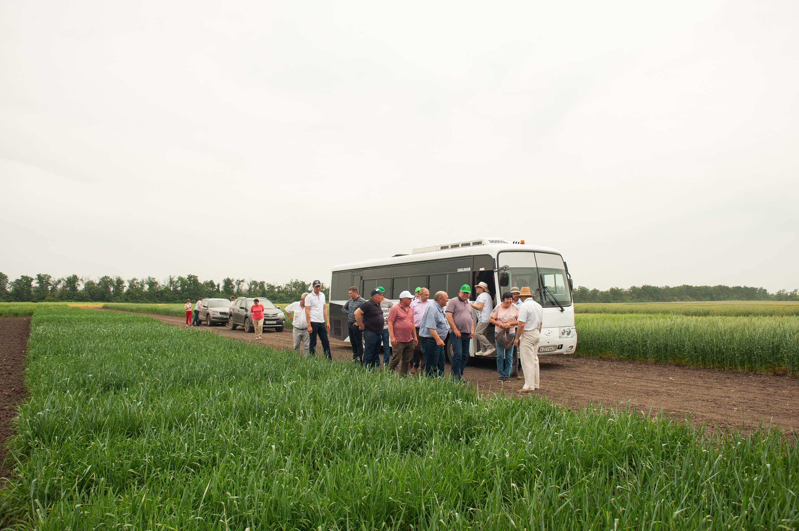 НЦЗ им. П. П. Лукьяненко «День поля». Свадебный и женский фотограф в Лиссабоне Яковлева Ольга