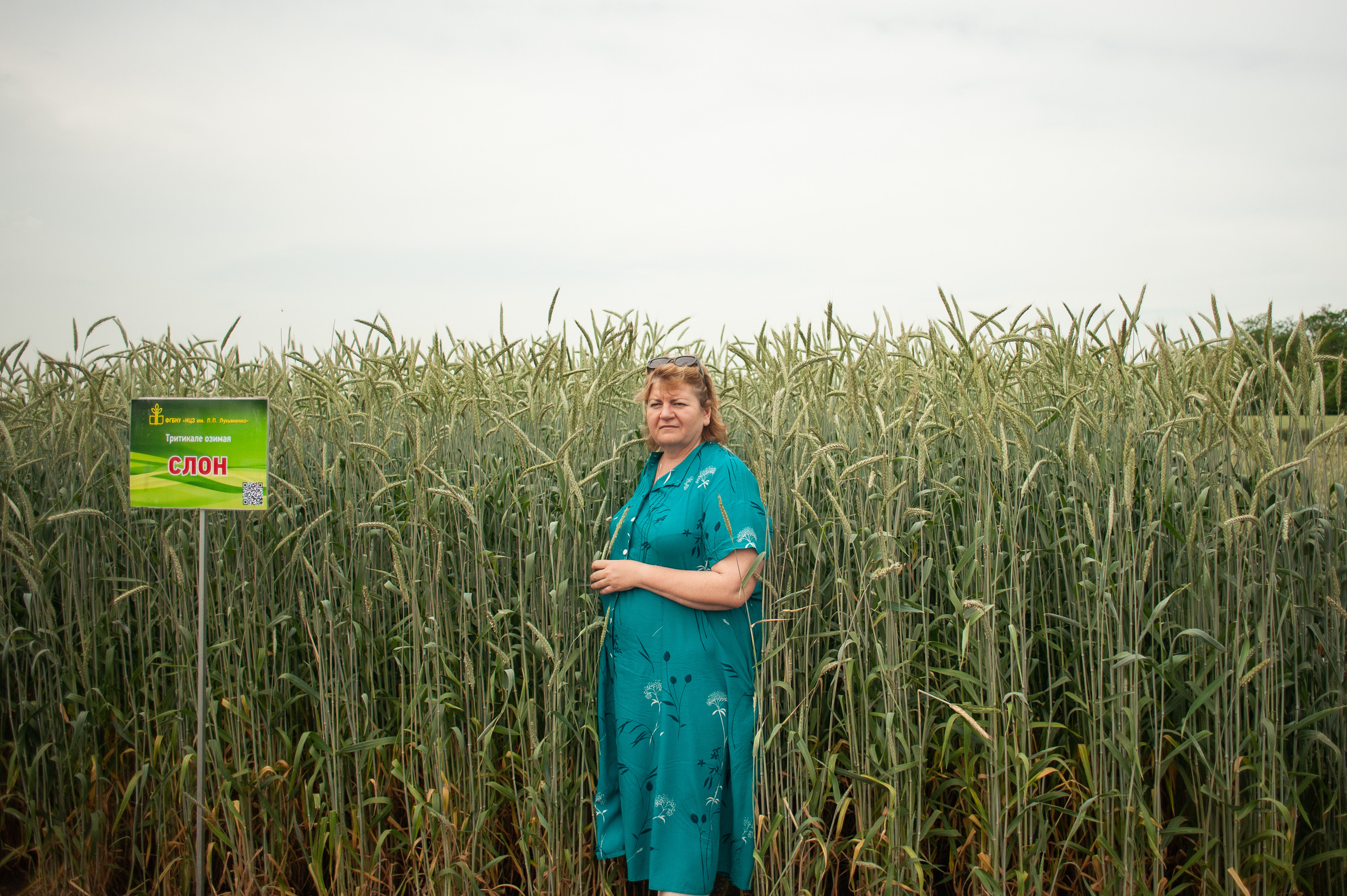 НЦЗ им. П. П. Лукьяненко «День поля». Свадебный и женский фотограф в Лиссабоне Яковлева Ольга