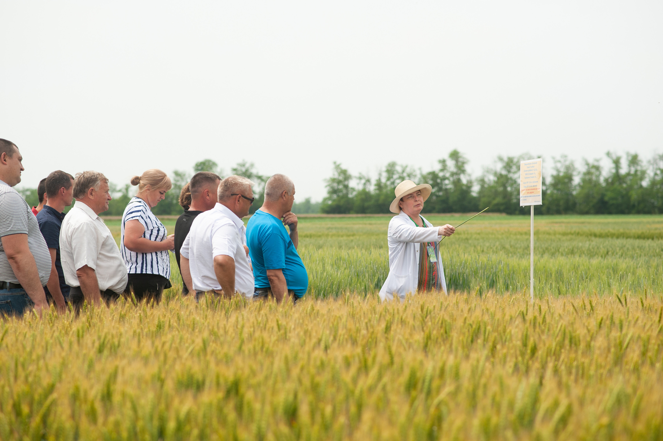 НЦЗ им. П. П. Лукьяненко «День поля». Свадебный и женский фотограф в Лиссабоне Яковлева Ольга