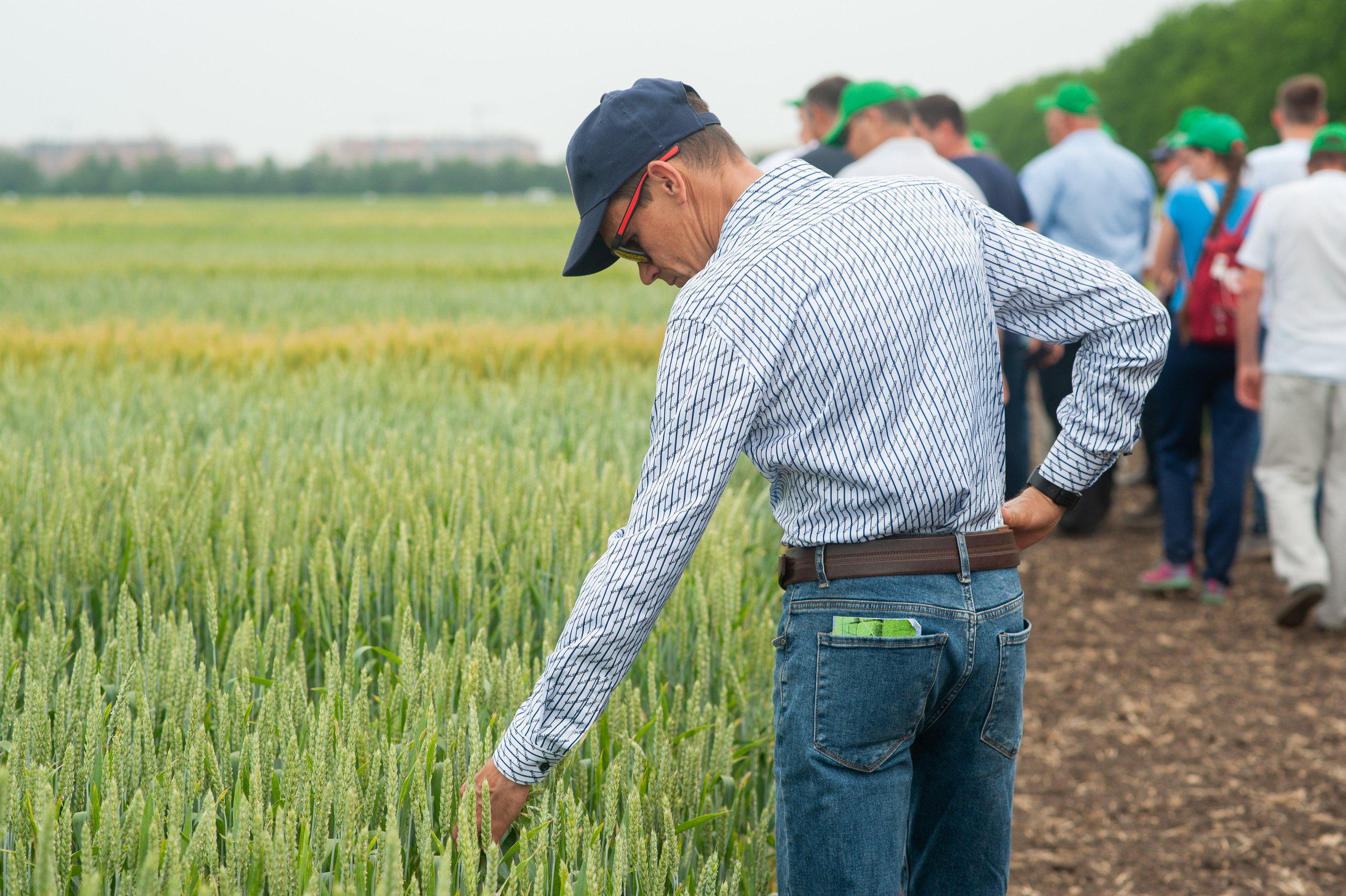НЦЗ им. П. П. Лукьяненко «День поля». Свадебный и женский фотограф в Лиссабоне Яковлева Ольга