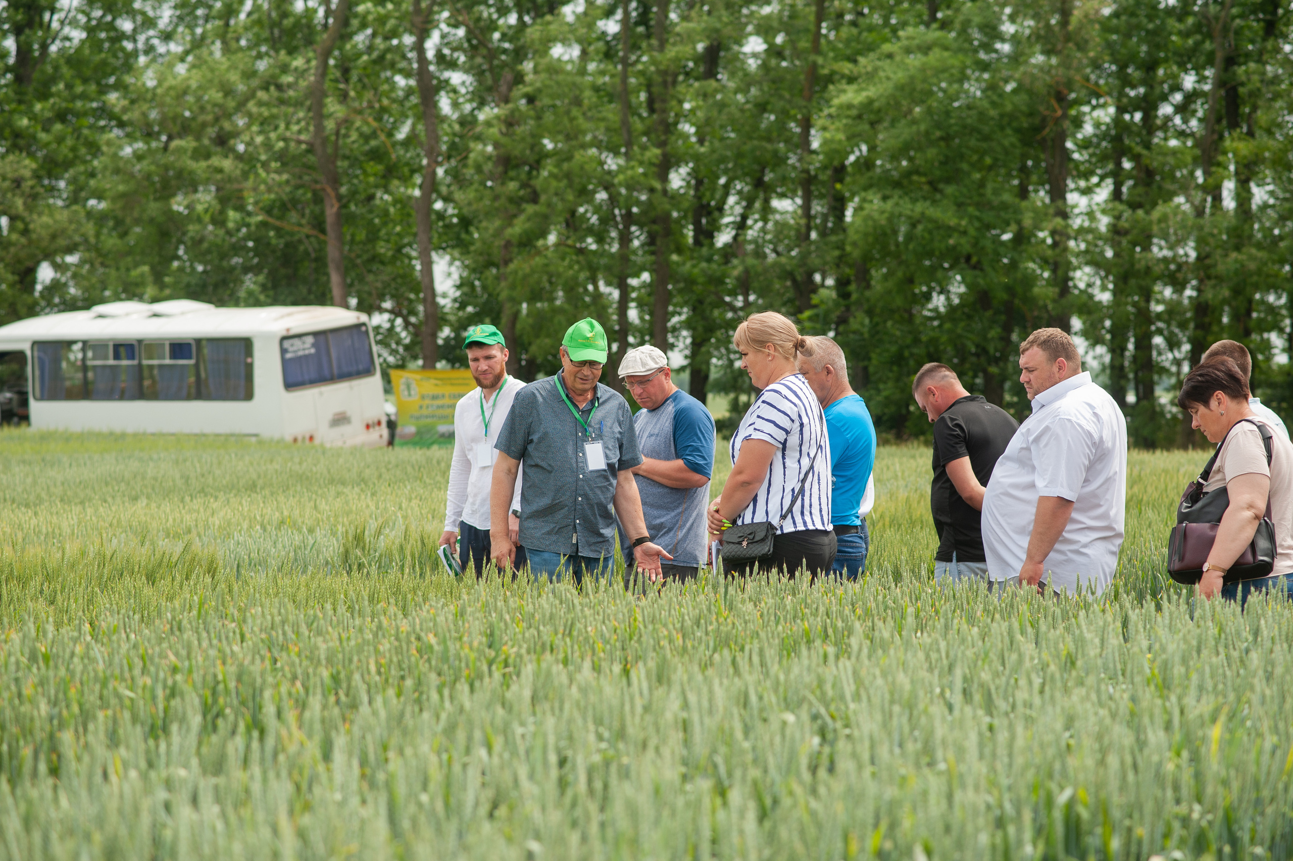 НЦЗ им. П. П. Лукьяненко «День поля». Свадебный и женский фотограф в Лиссабоне Яковлева Ольга