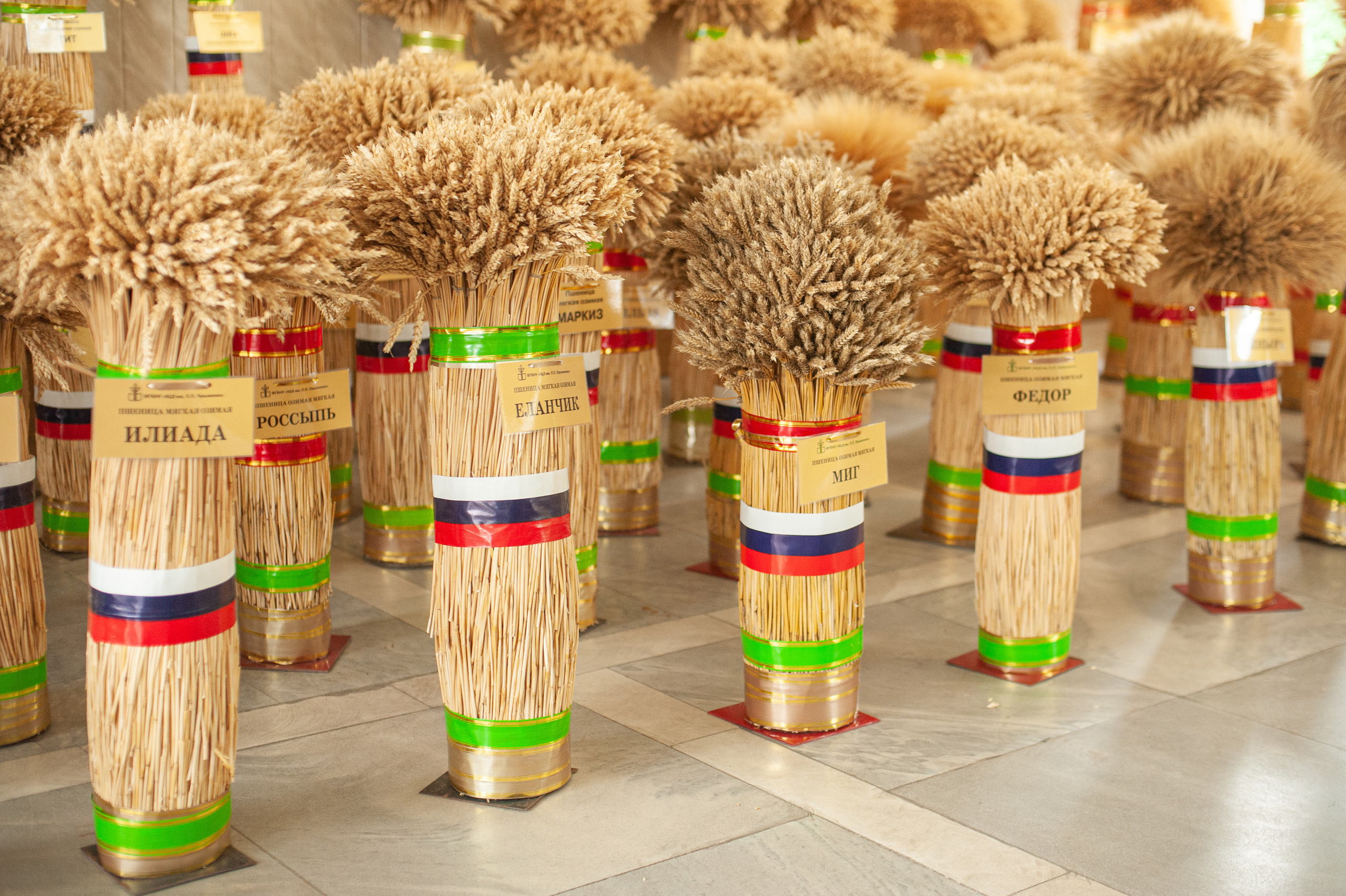 НЦЗ им. П. П. Лукьяненко «День поля». Свадебный и женский фотограф в Лиссабоне Яковлева Ольга