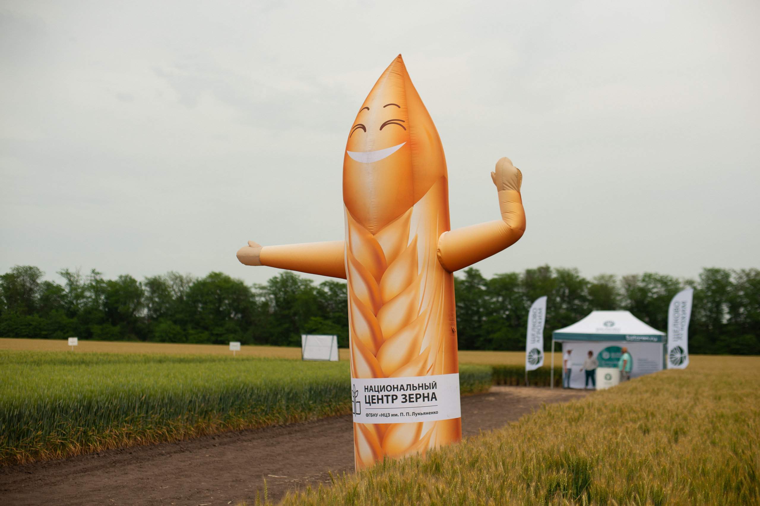 НЦЗ им. П. П. Лукьяненко «День поля». Свадебный и женский фотограф в Лиссабоне Яковлева Ольга