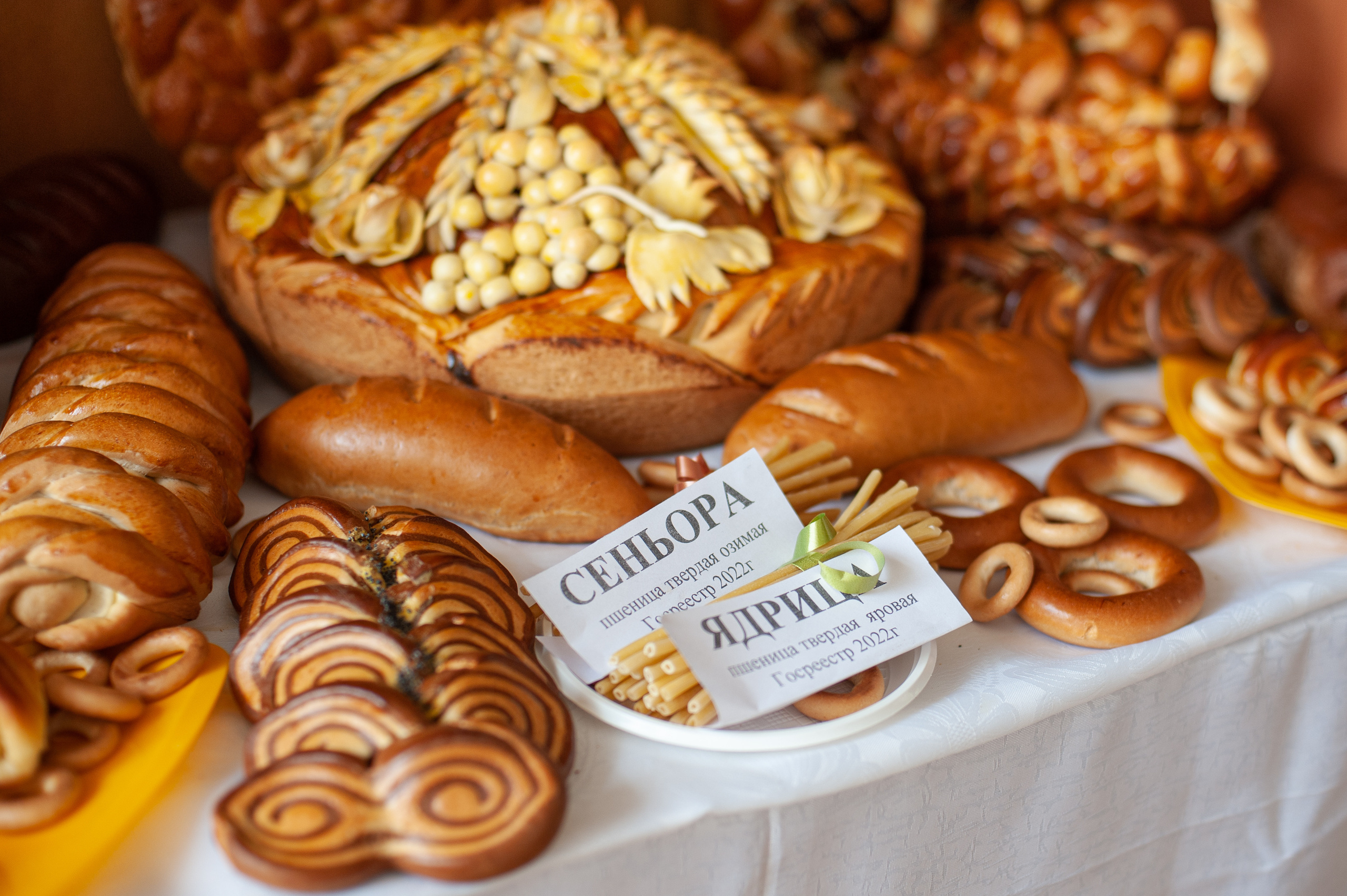 НЦЗ им. П. П. Лукьяненко «День поля». Свадебный и женский фотограф в Лиссабоне Яковлева Ольга