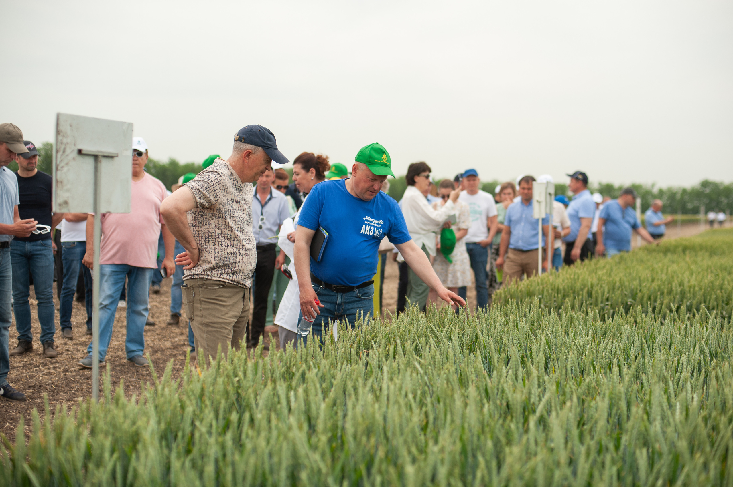 НЦЗ им. П. П. Лукьяненко «День поля». Свадебный и женский фотограф в Лиссабоне Яковлева Ольга