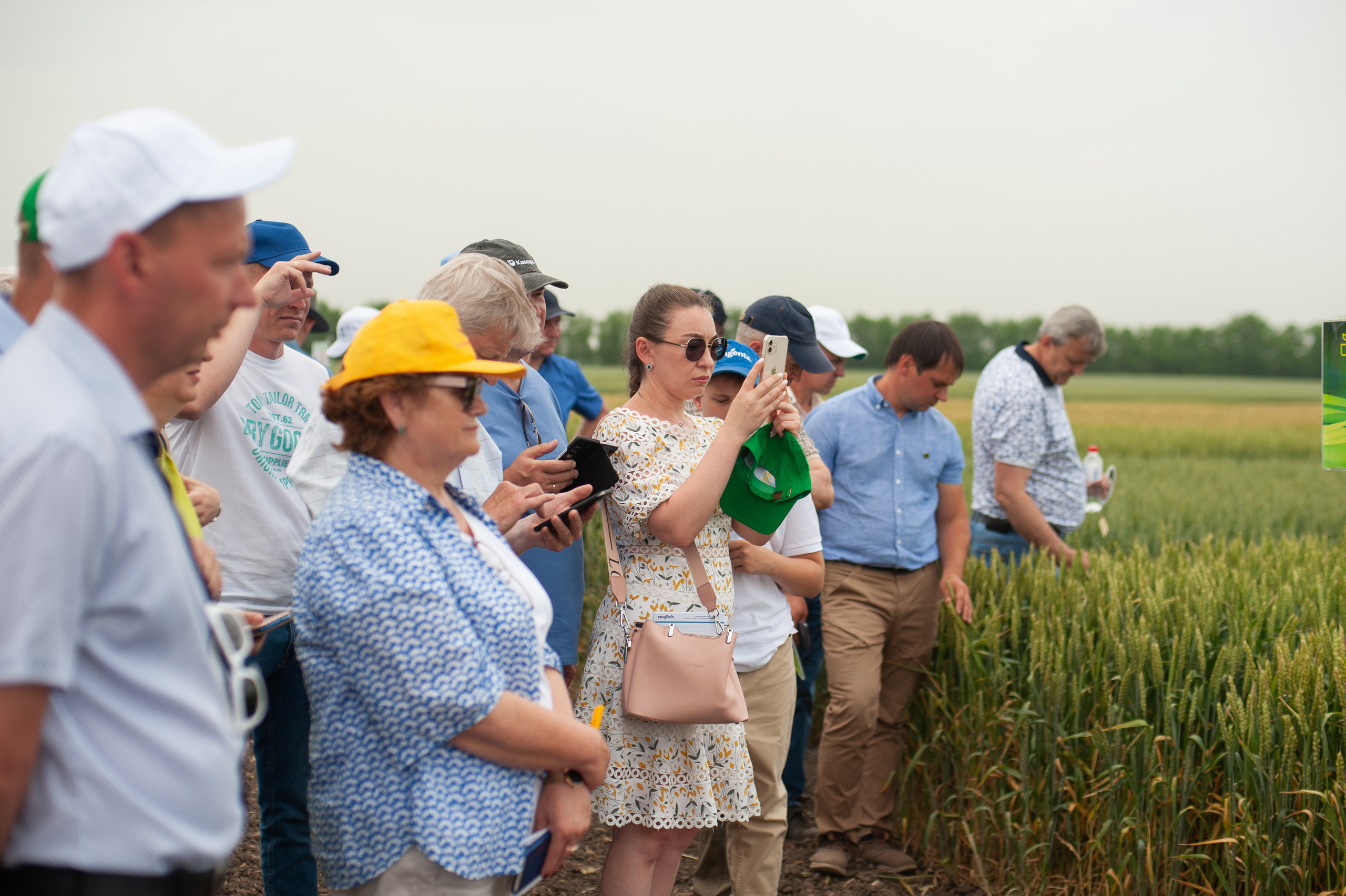 НЦЗ им. П. П. Лукьяненко «День поля». Свадебный и женский фотограф в Лиссабоне Яковлева Ольга