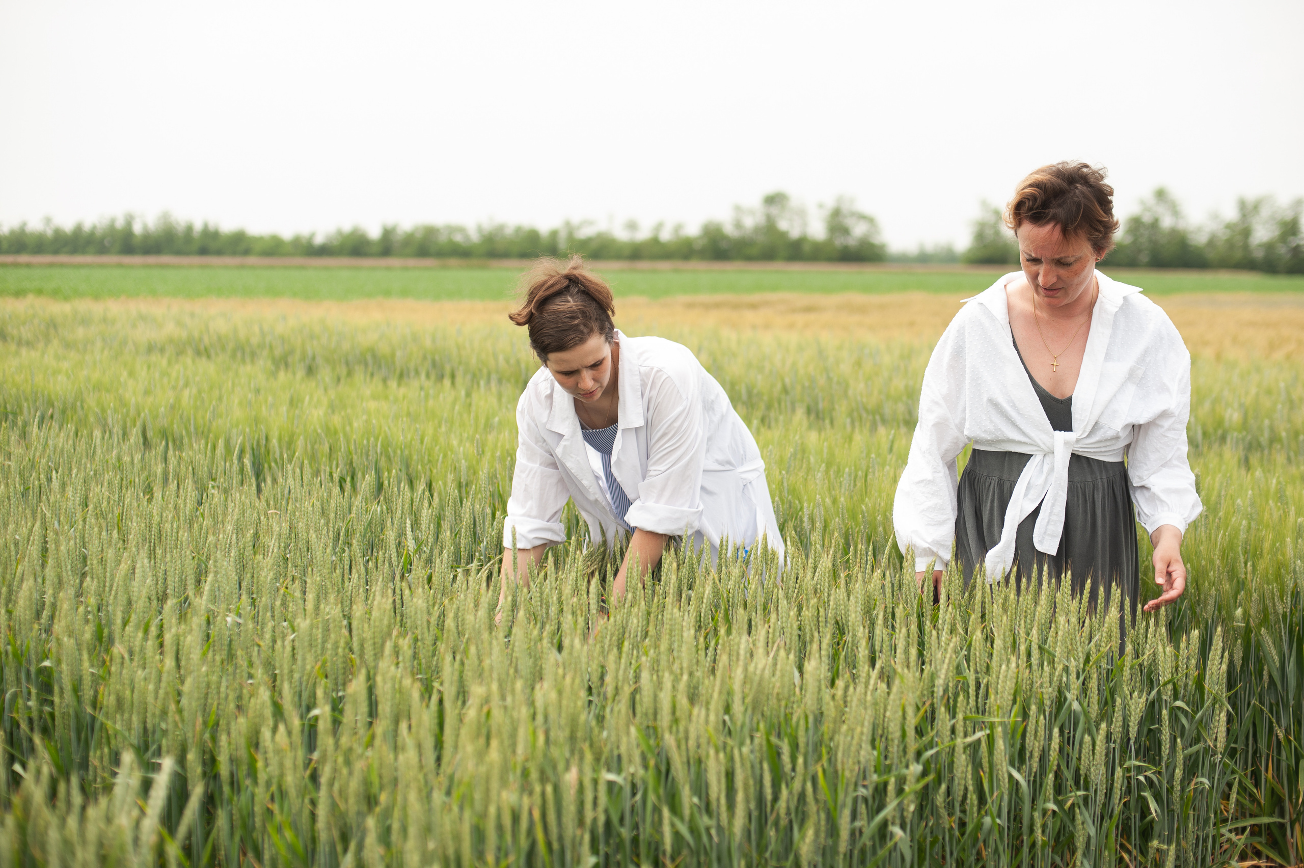 НЦЗ им. П. П. Лукьяненко «День поля». Свадебный и женский фотограф в Лиссабоне Яковлева Ольга