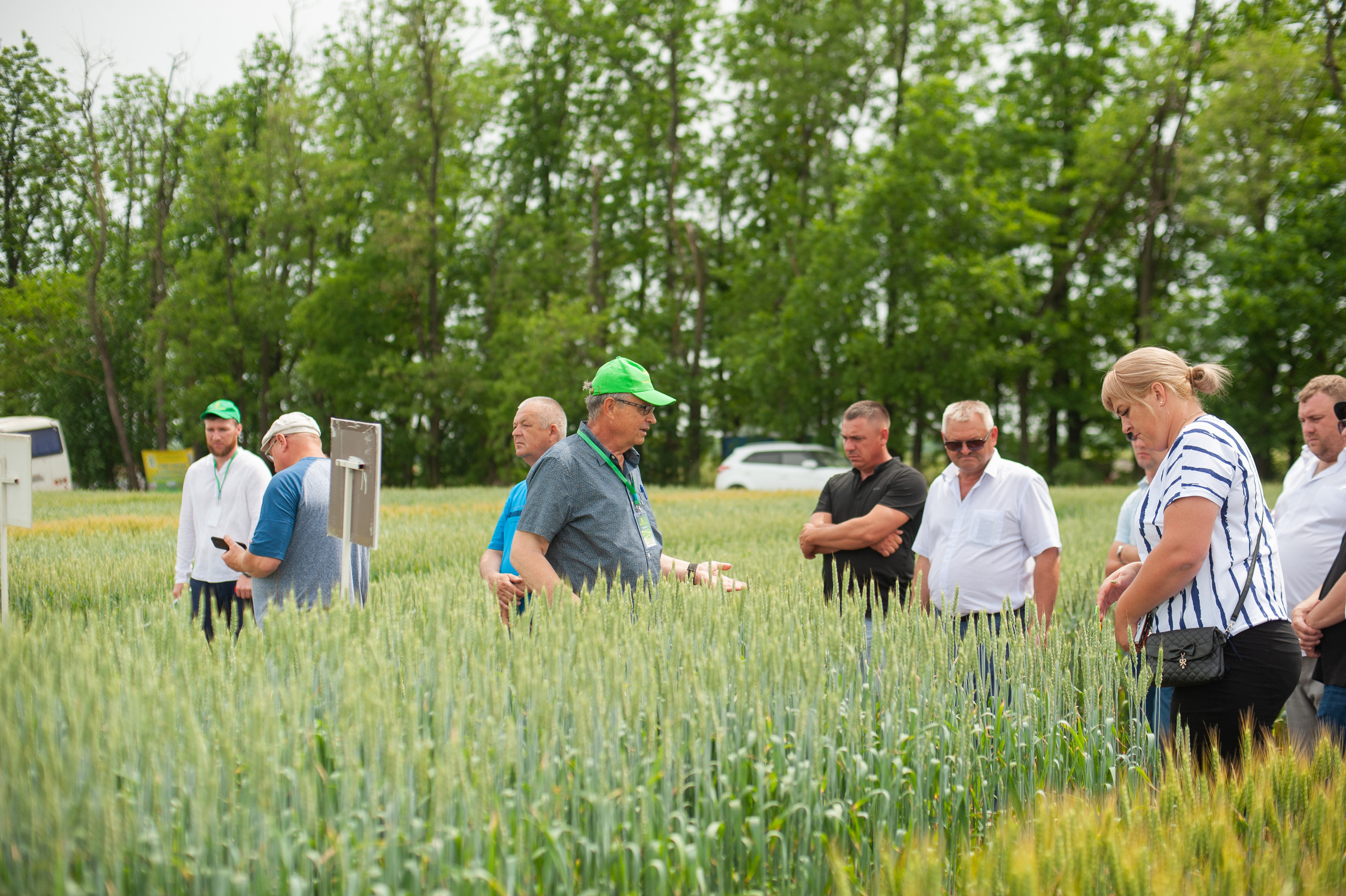 НЦЗ им. П. П. Лукьяненко «День поля». Свадебный и женский фотограф в Лиссабоне Яковлева Ольга