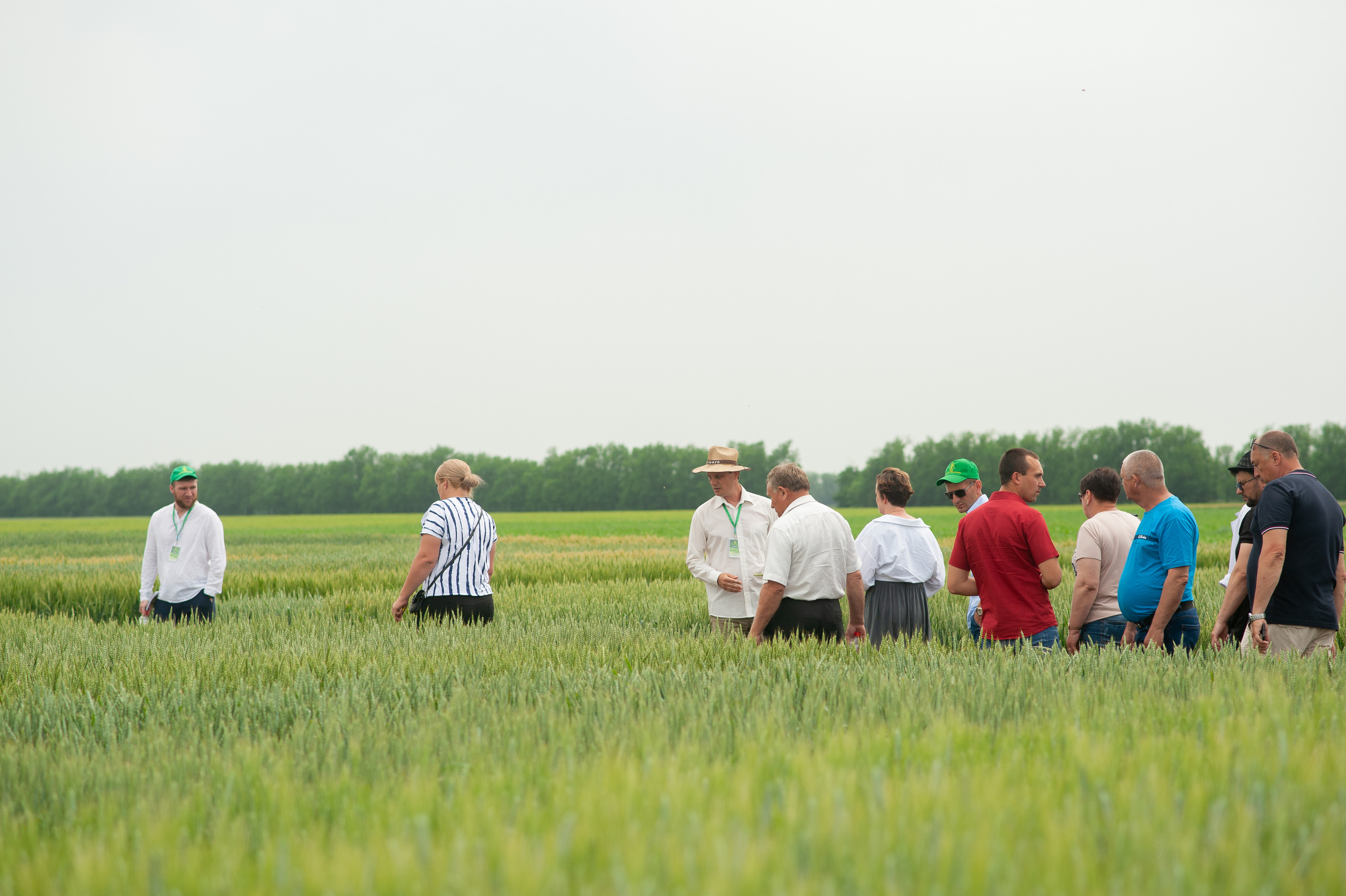 НЦЗ им. П. П. Лукьяненко «День поля». Свадебный и женский фотограф в Лиссабоне Яковлева Ольга