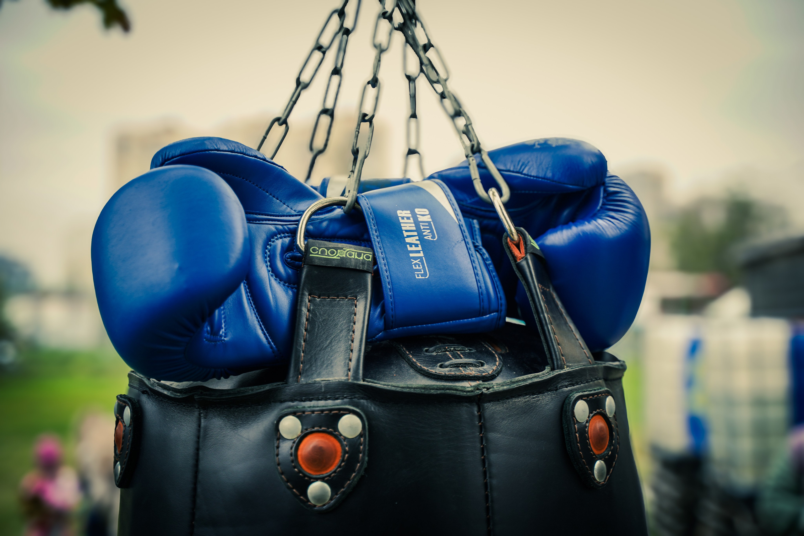 Семейный фестиваль «Сила и дух». Репортажный и портретный фотограф / видеограф (СПБ)