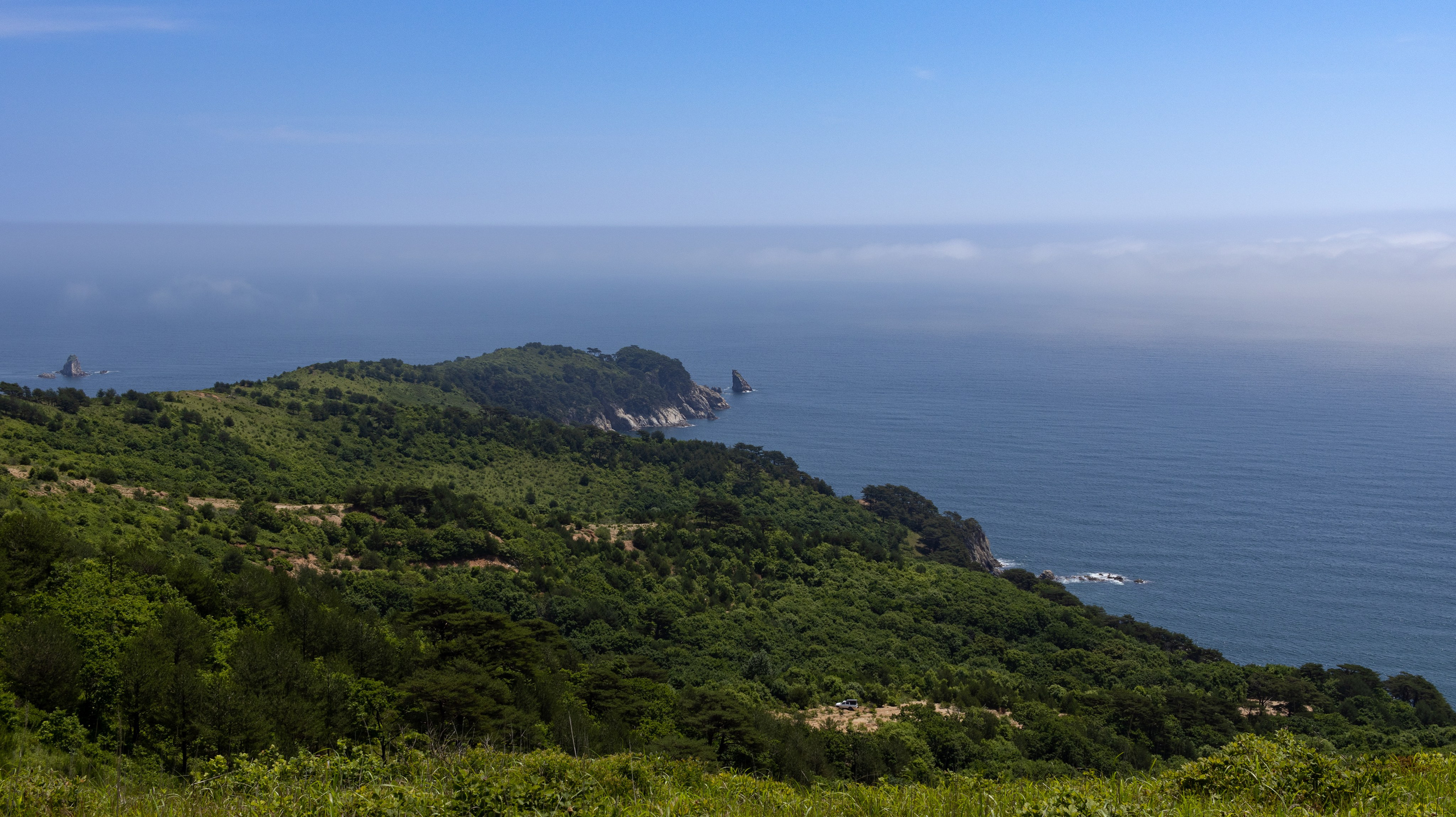 Константин Кириченко