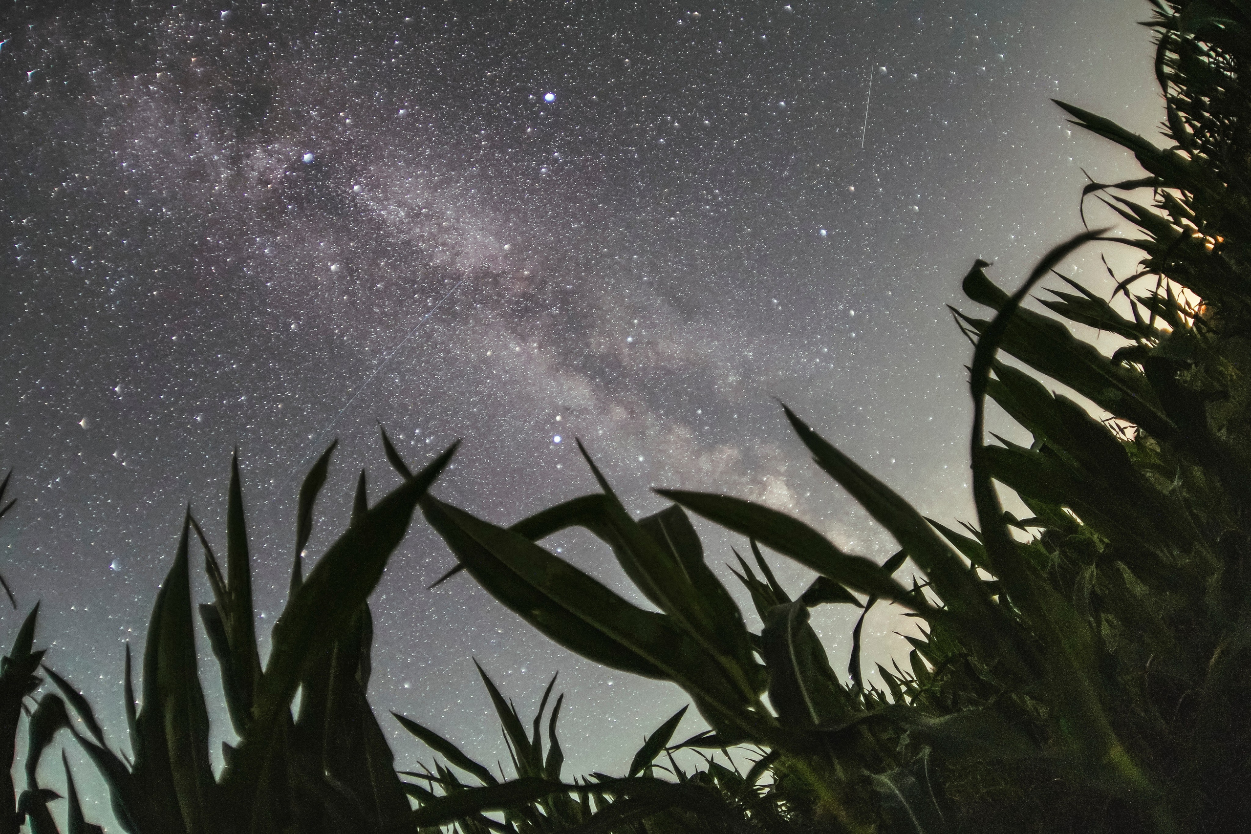 «Звездные истории». Геннадий Войтов — контент под любые задачи