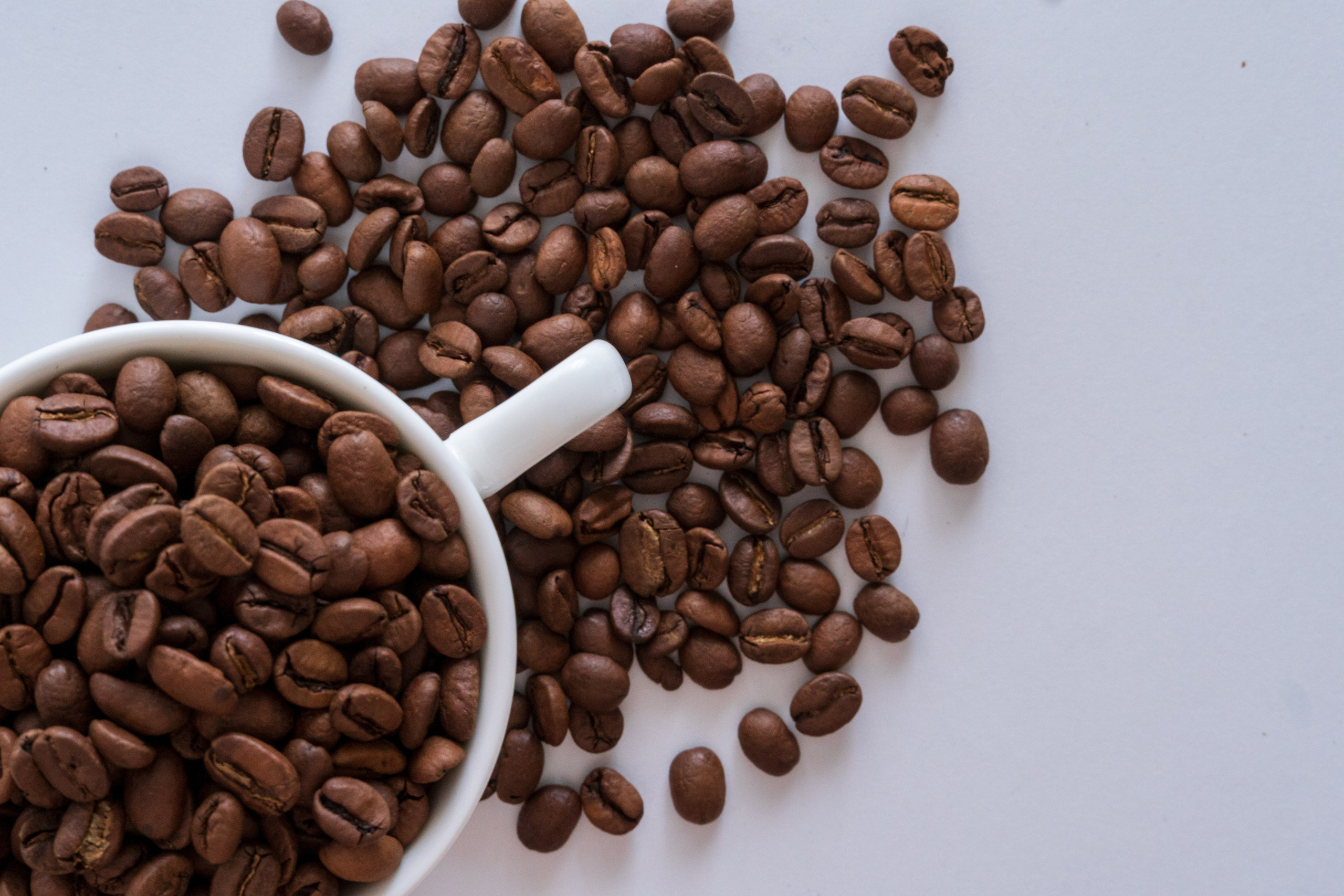 Предметная съемка. Предметный фотограф Санкт-Петербург