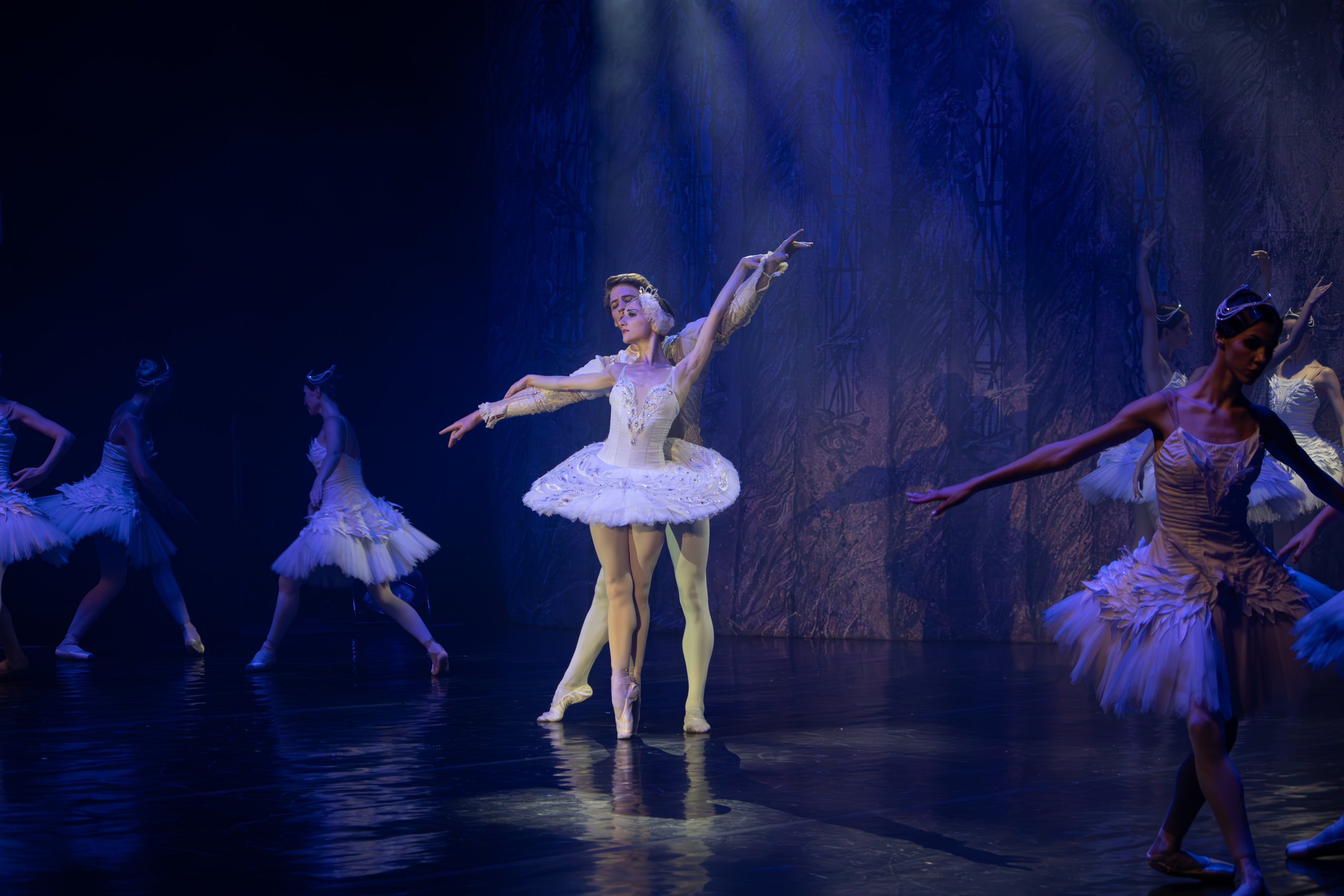 Лебединое озеро. Имперский русский балет. Фотограф в Нижнем Новгороде Екатерина Хисматулина