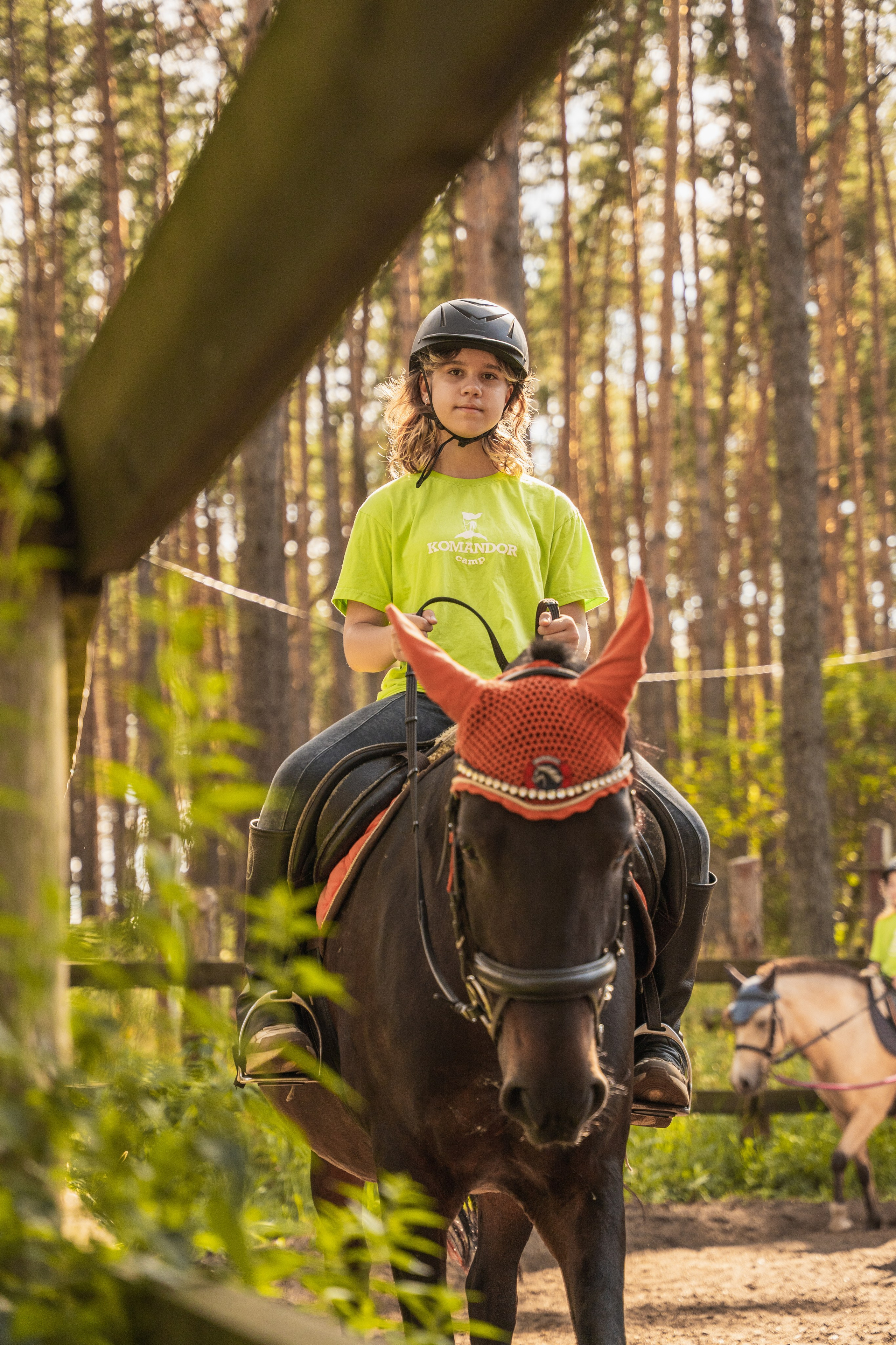 Конное занятие. Главная