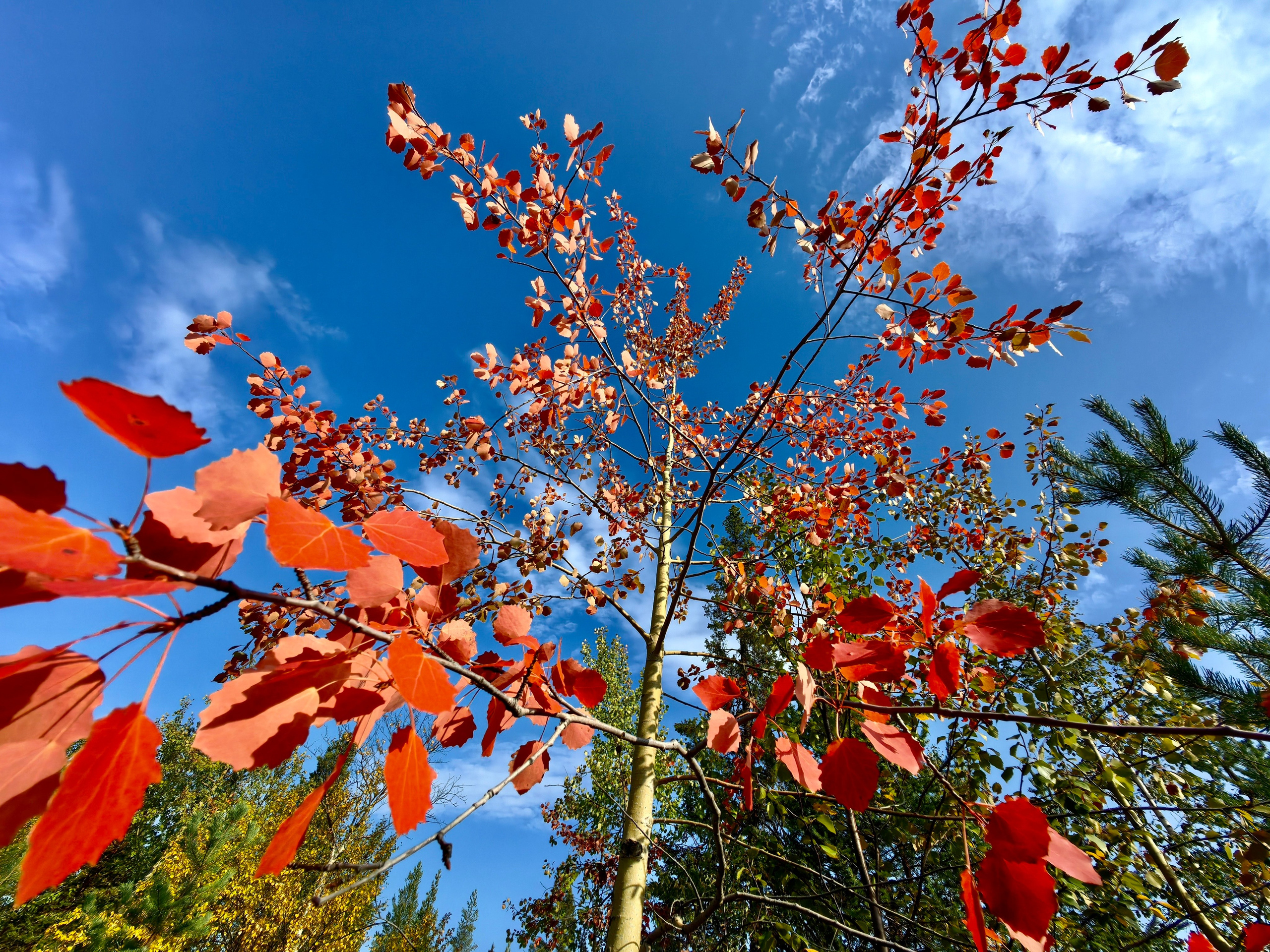 Мурманская область. Фотограф Евгений Андреев