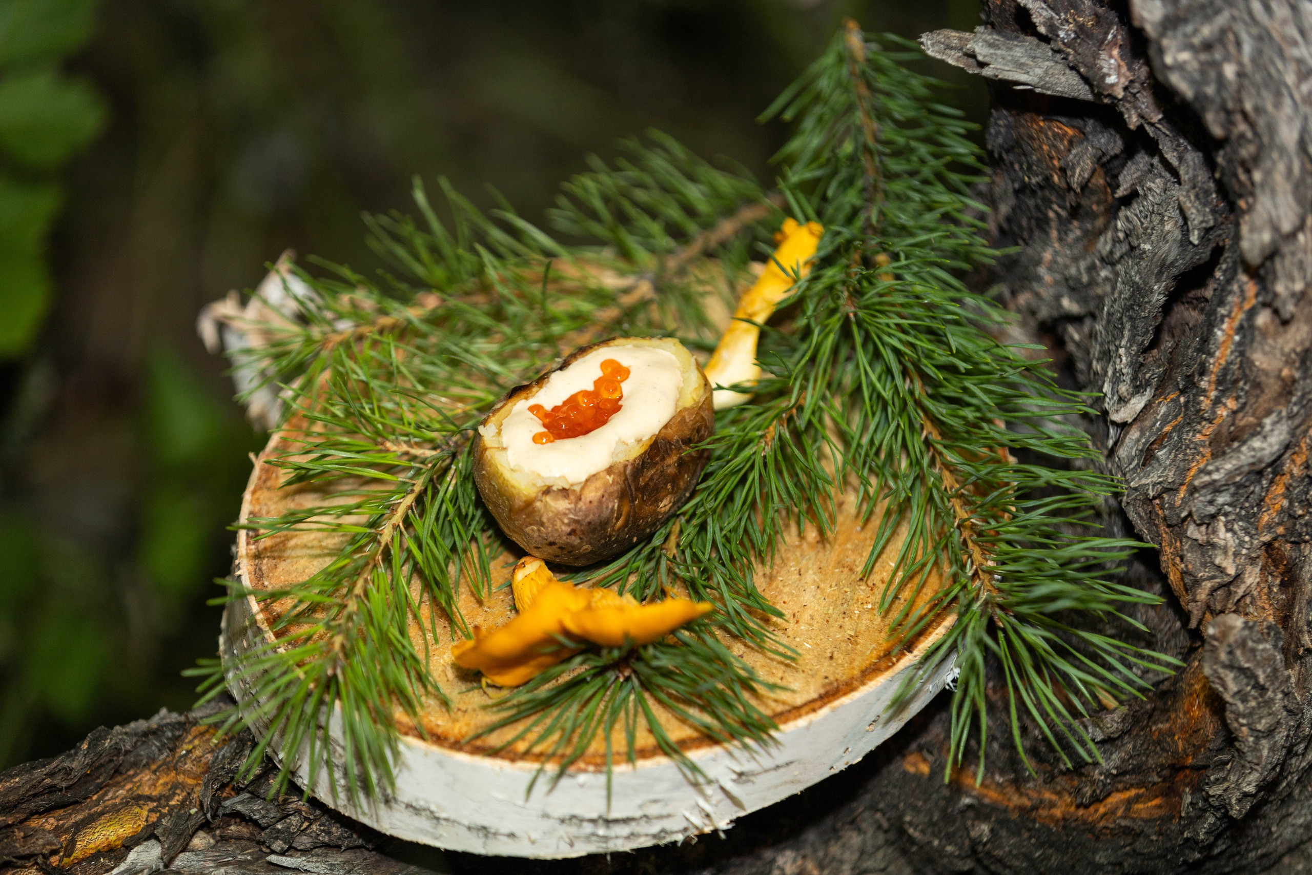 Выездной ресторан лучших 8 Шеф-поваров со всего Иркутска. Репортажный фотограф в Иркутске — Ярослав Ковалёв
