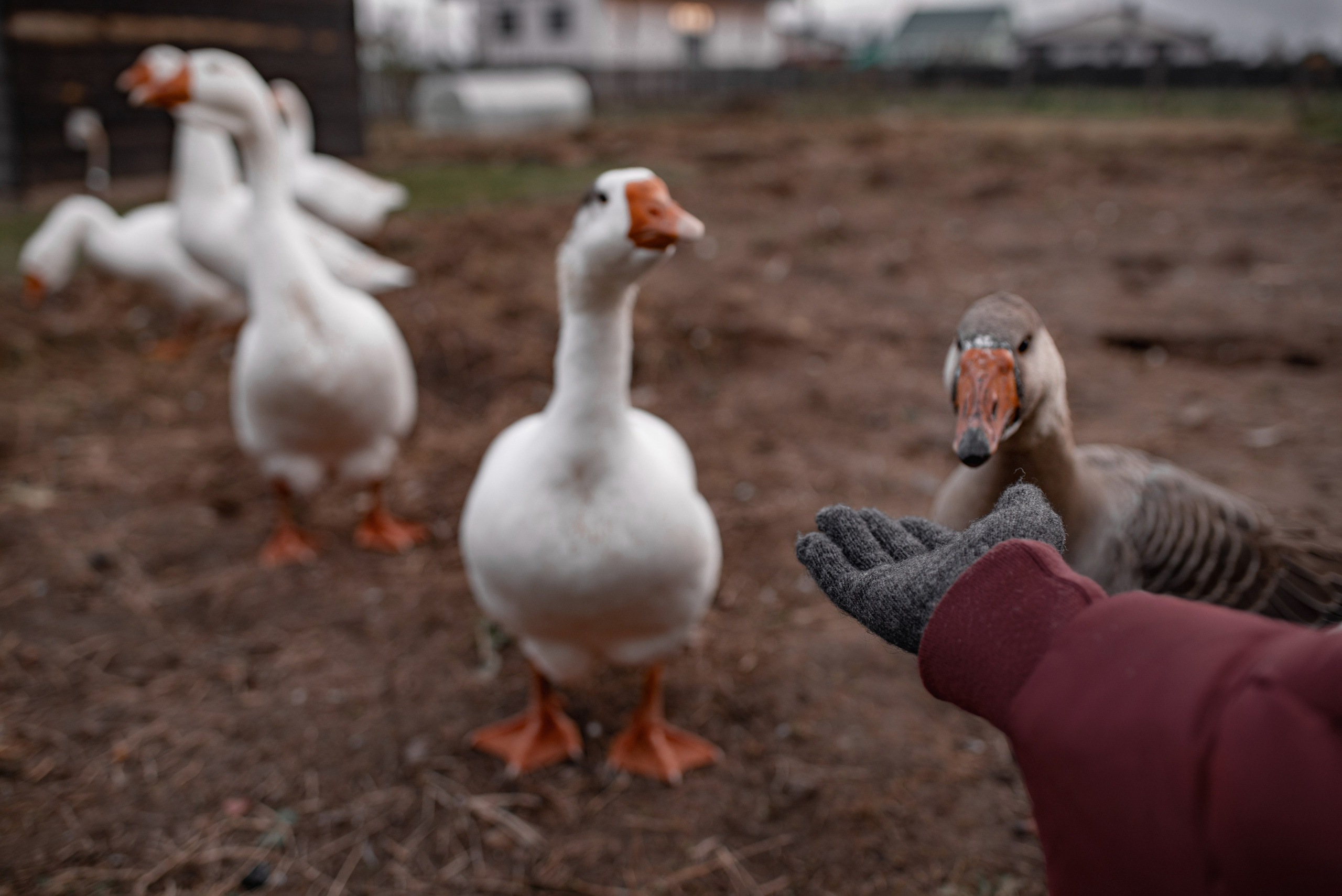 Люди. Семейный фотограф Псков. Спб.|Анастасия Войналович