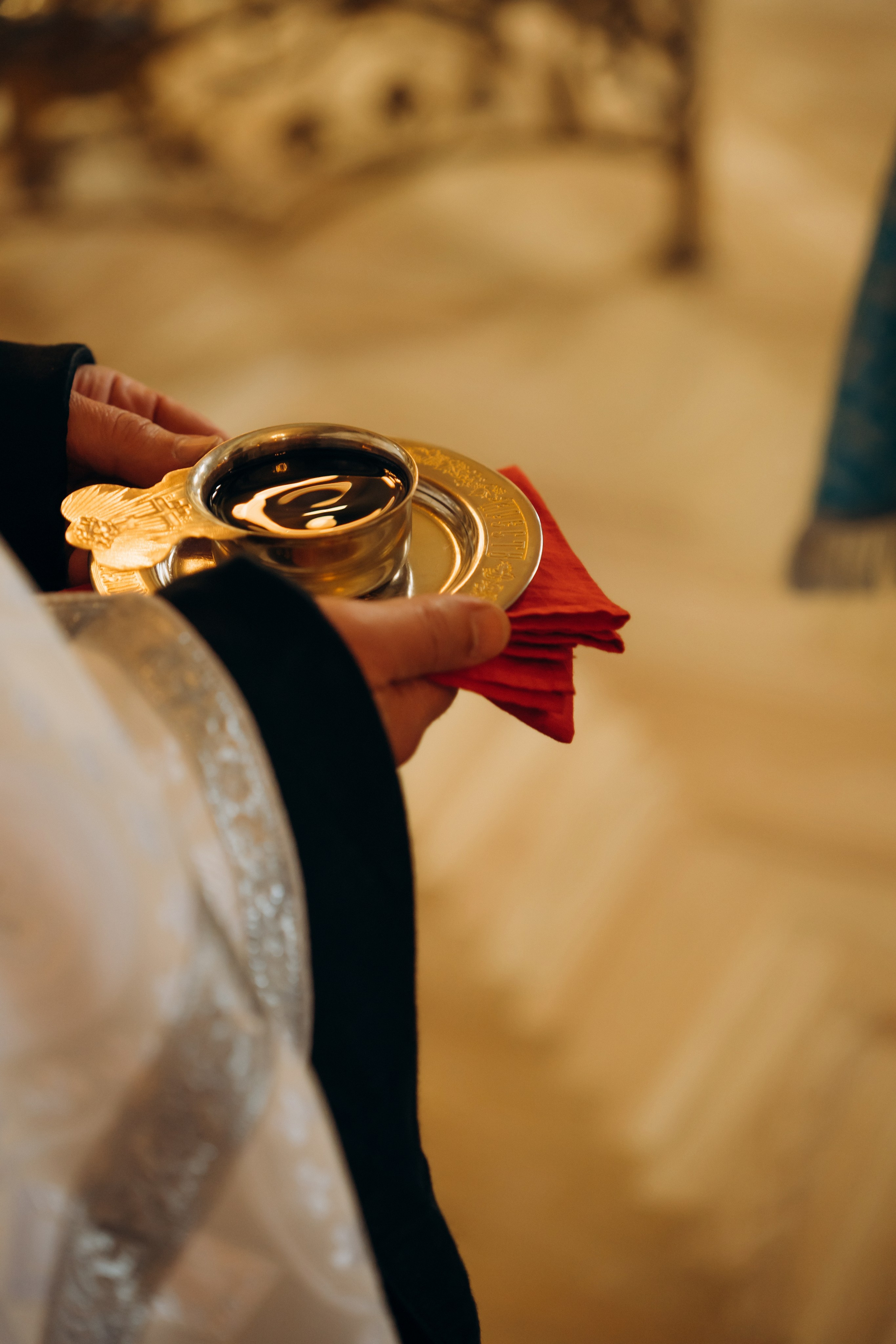 Владимир и Елисавета. Ирина Гонтарева|Фотограф|Белгород