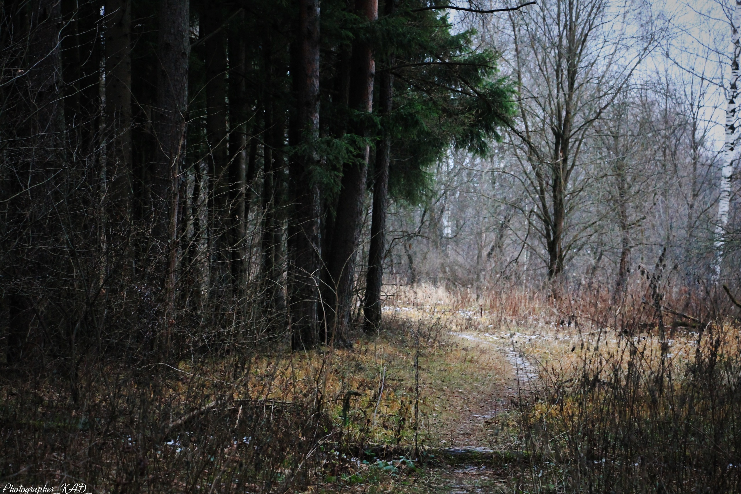 Пейзажи и природа. Photographer K.A.D