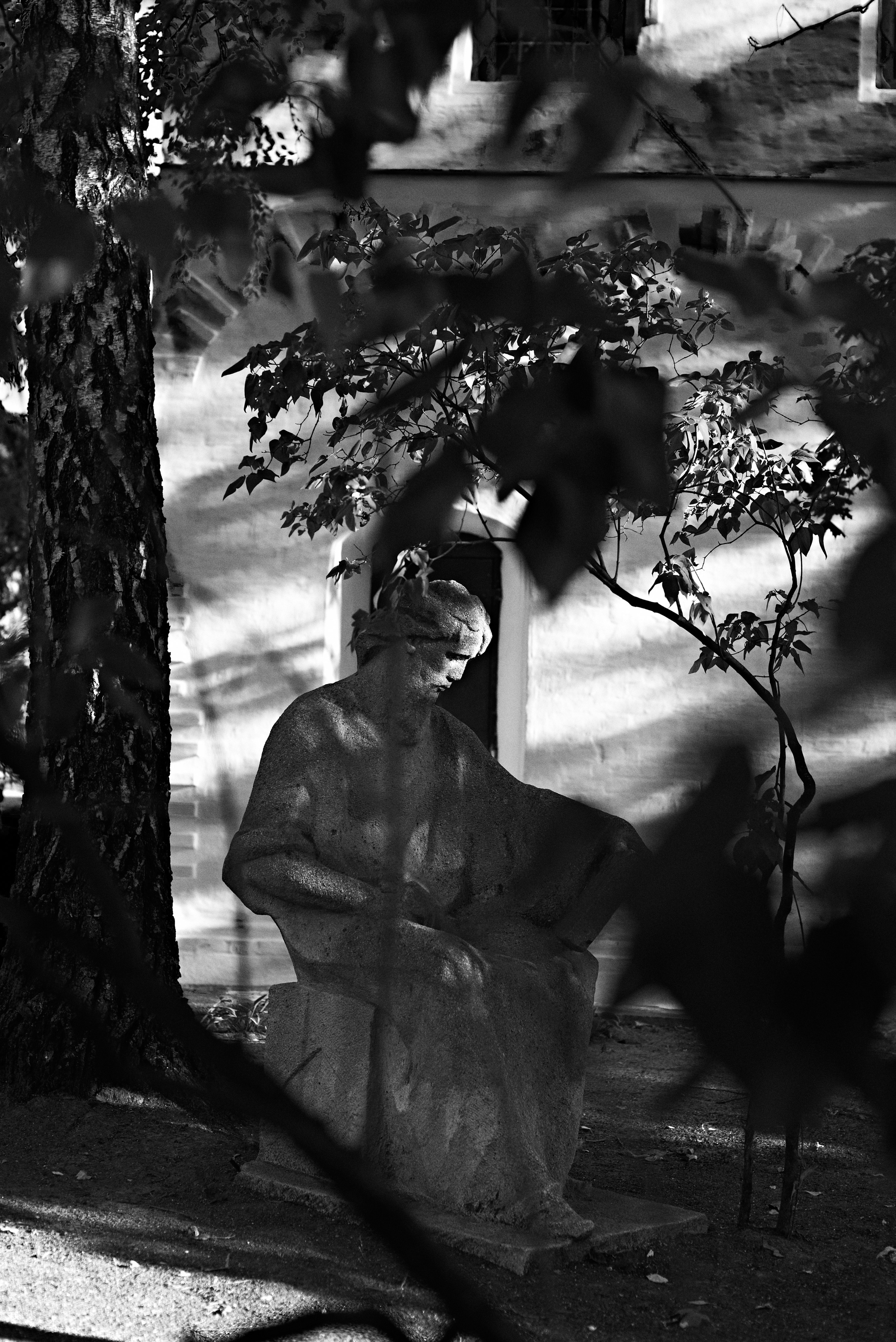 2024. Марфин. Фотограф