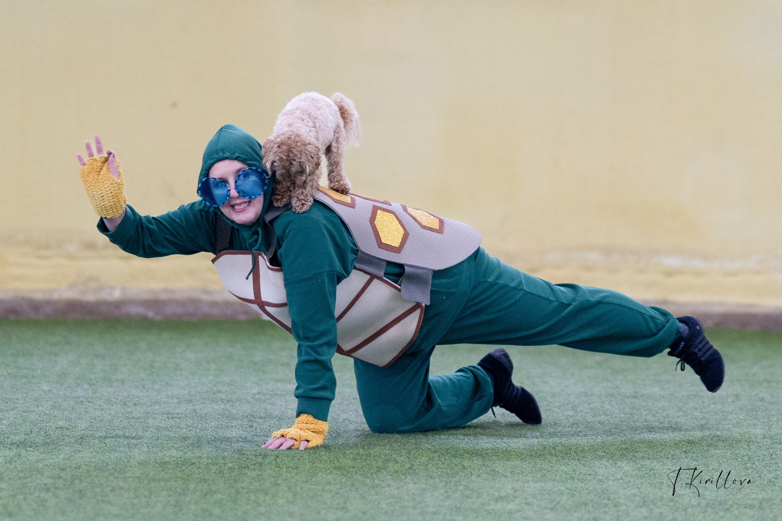 Соревнования танцы. Фотограф-анималист в Москве Кириллова Татьяна