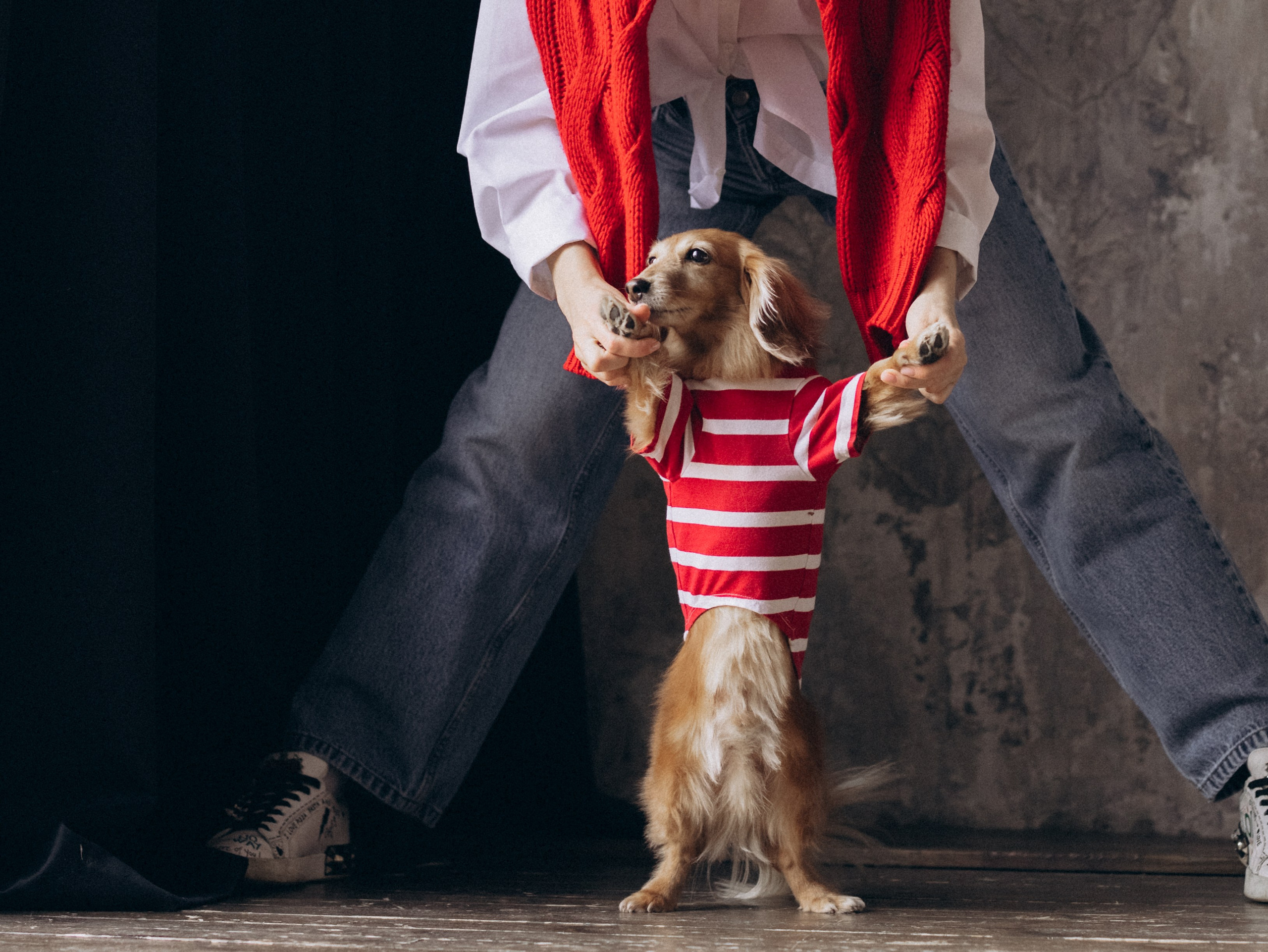 Лимон и Аня. Фотограф-анималист в Москве Кириллова Татьяна