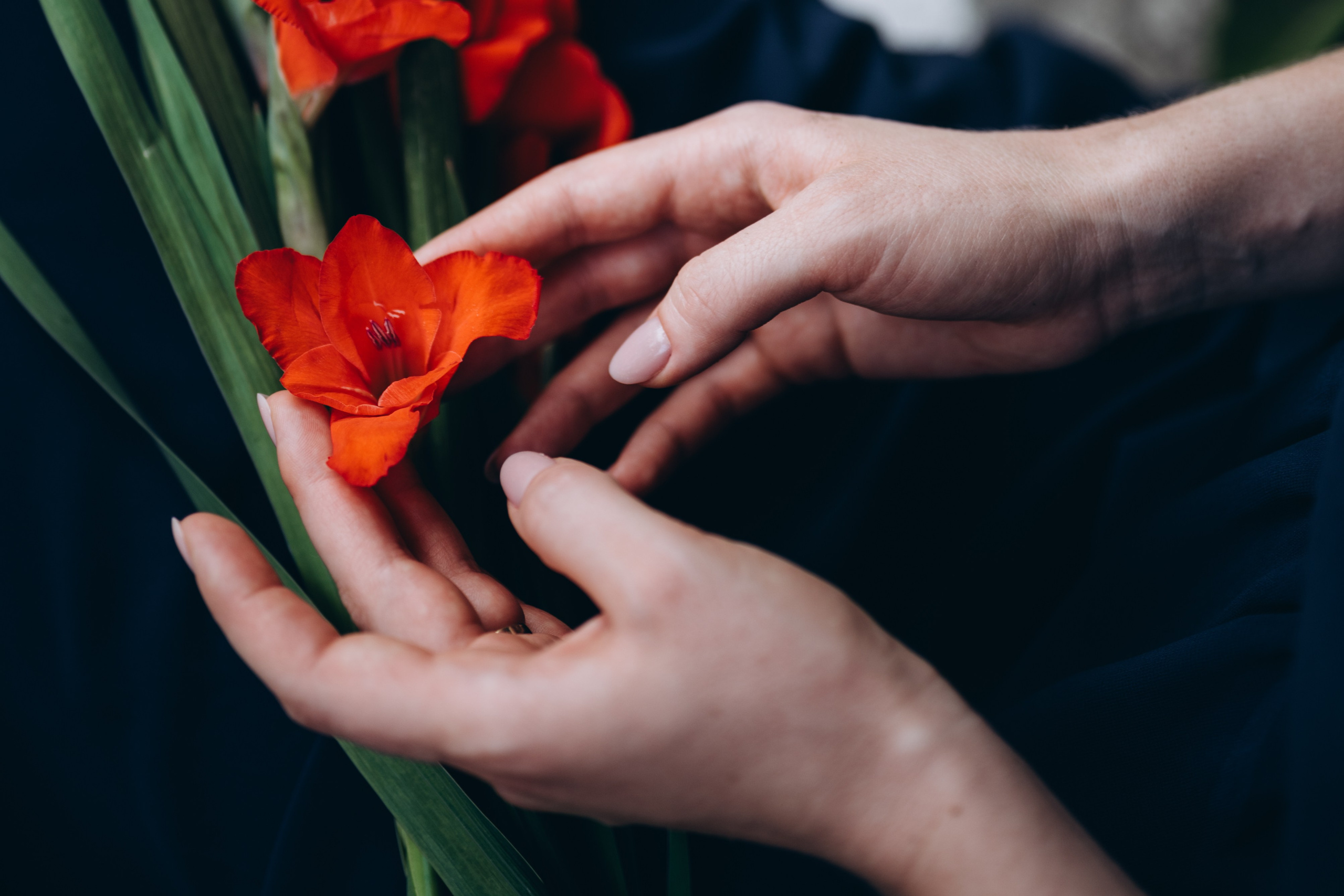 Ангелина. Мария Кобзева, фотограф в Ялте, Крым