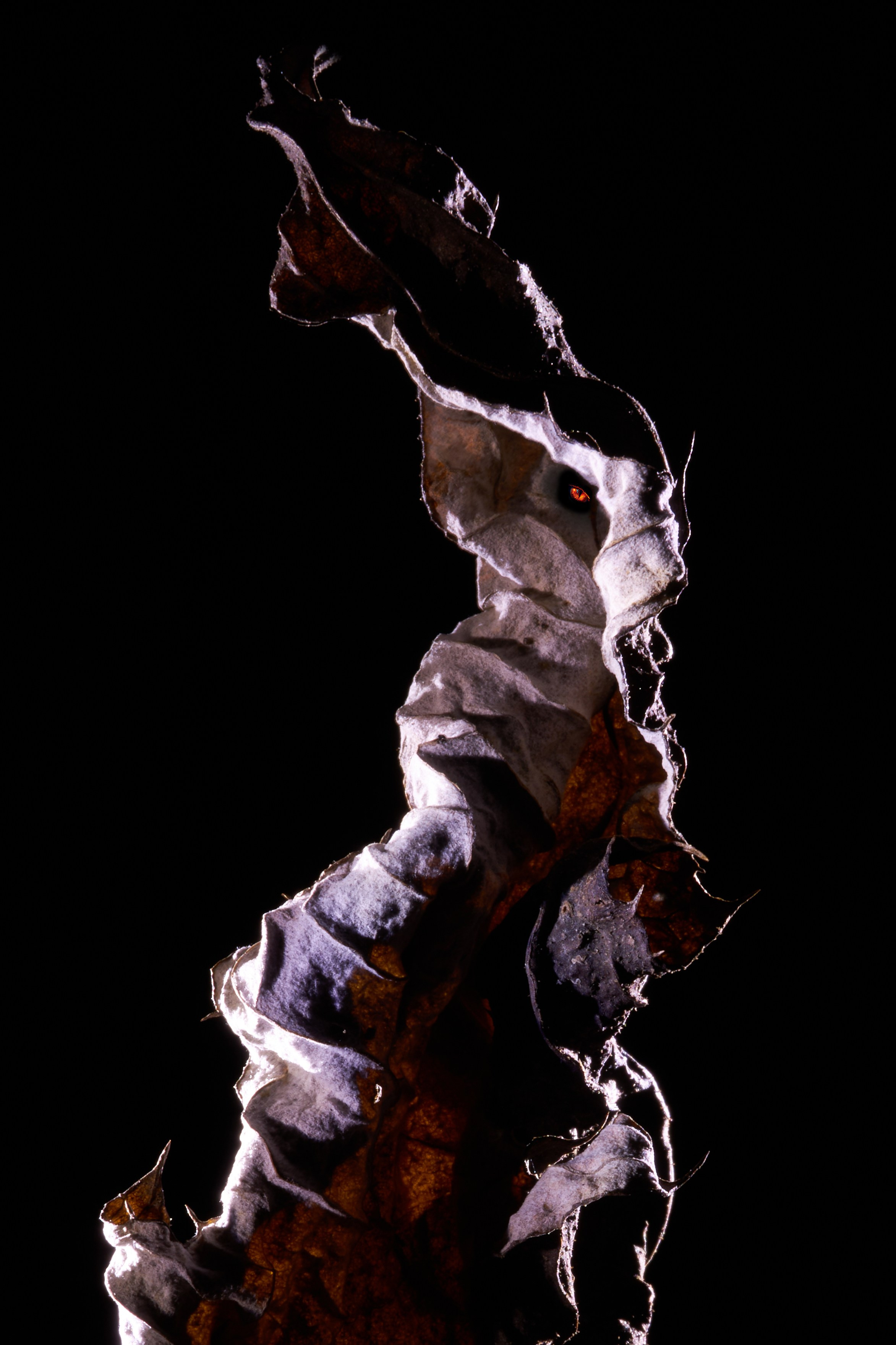 Милые Монстры или Тёмная Сторона. Репортажный Фотограф во Владивостоке и России Осипчук Дмитрий