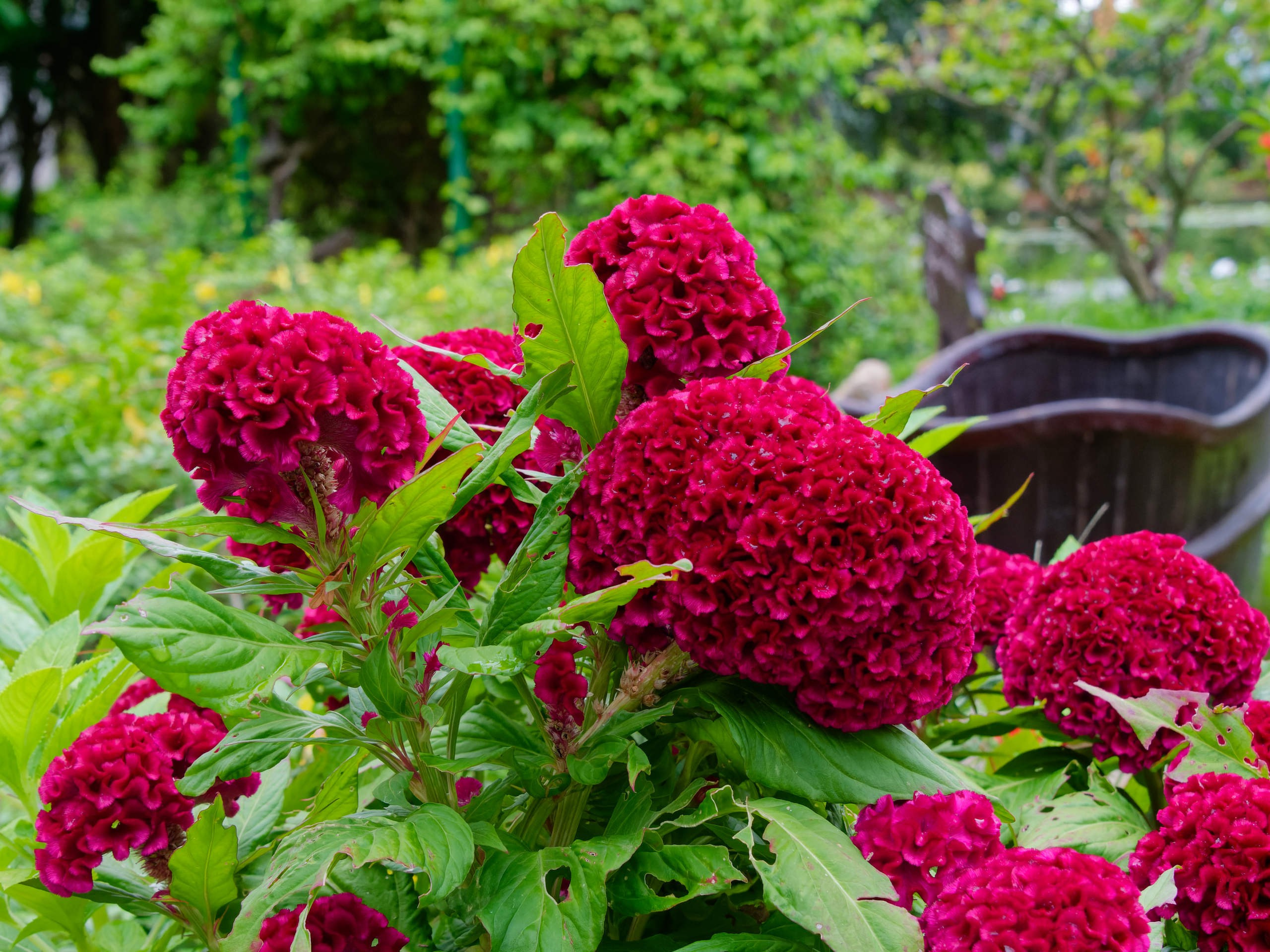 Нячанг 2025 (4). Избранные фотографии