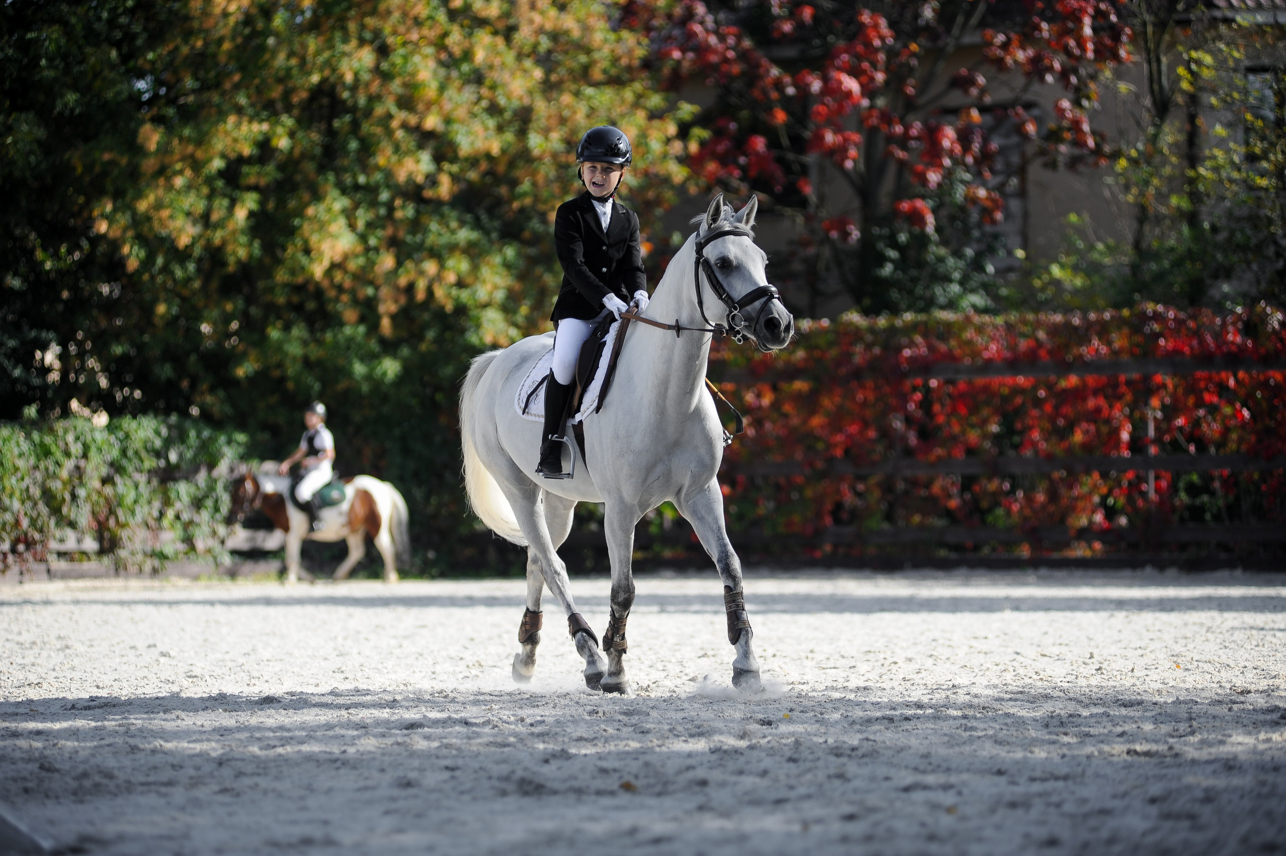 Конкур в конном клубе, репортаж Москва. Фотограф, визажист. Москва
