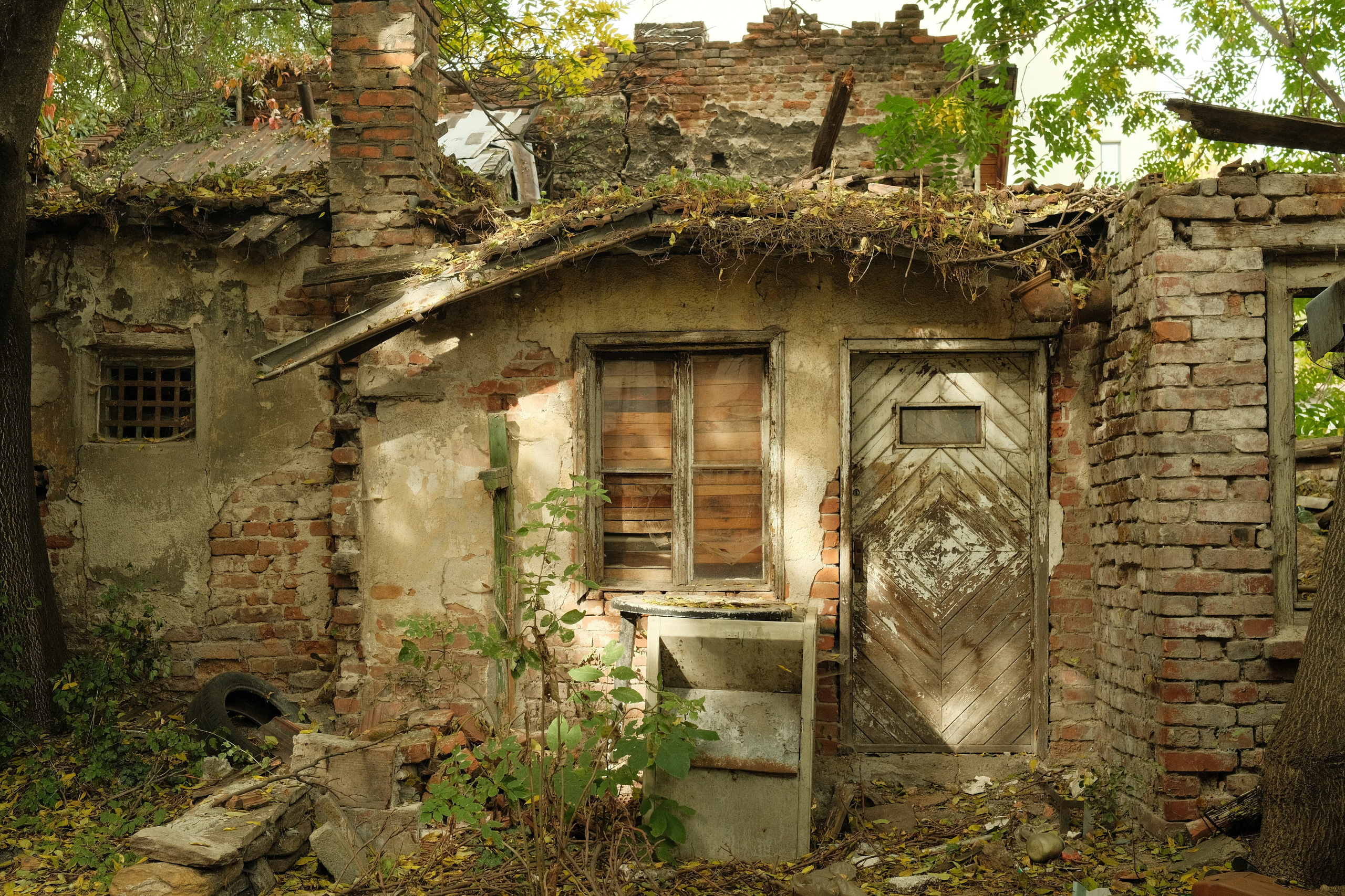 Фотографии Софии | Филипп Линзин. Репортажный и портретный фотограф в Санкт-Петербурге Филипп Линзин