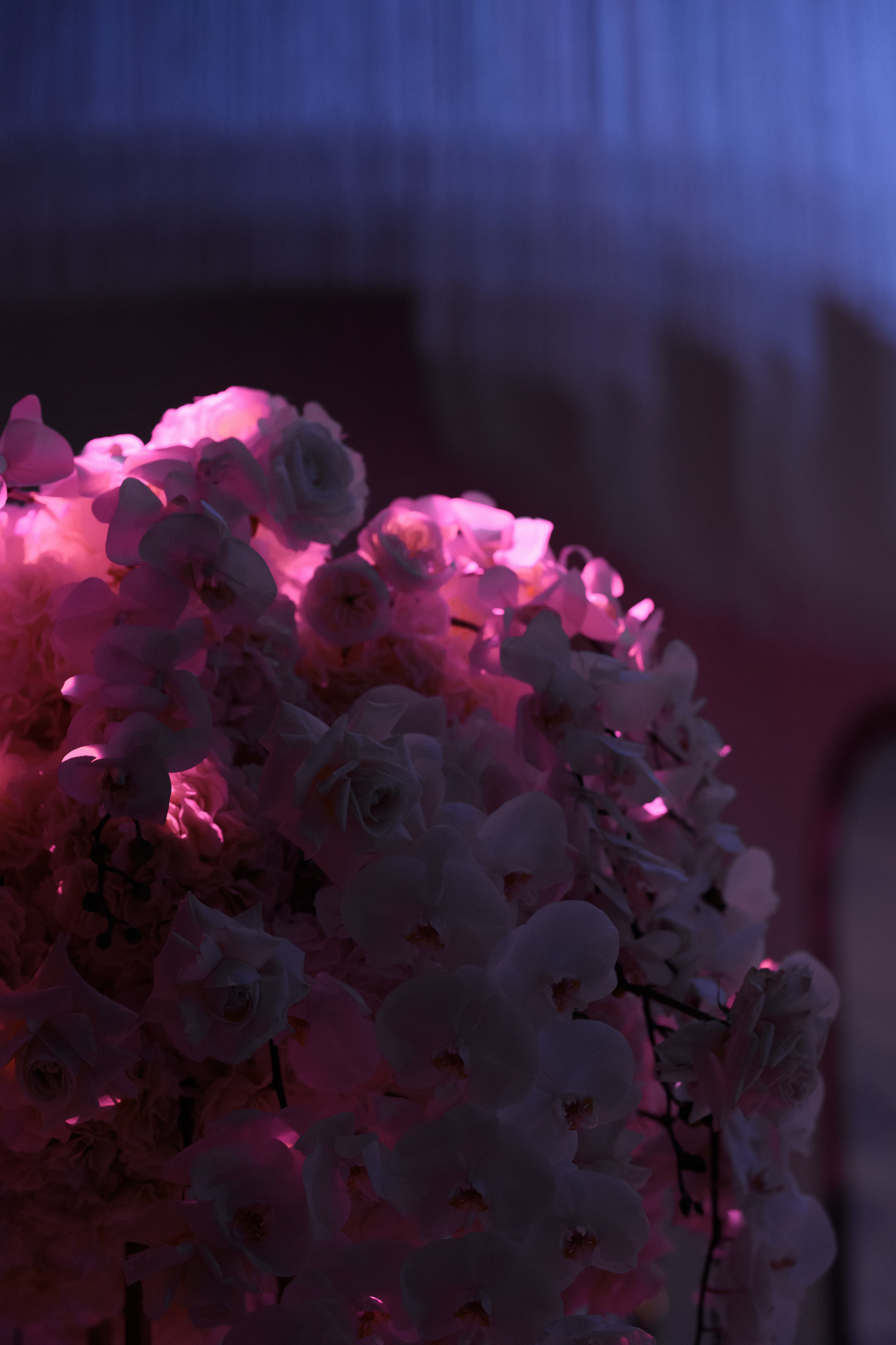 V's B-DAY. Свадебный и event-фотограф Иван Волнухин