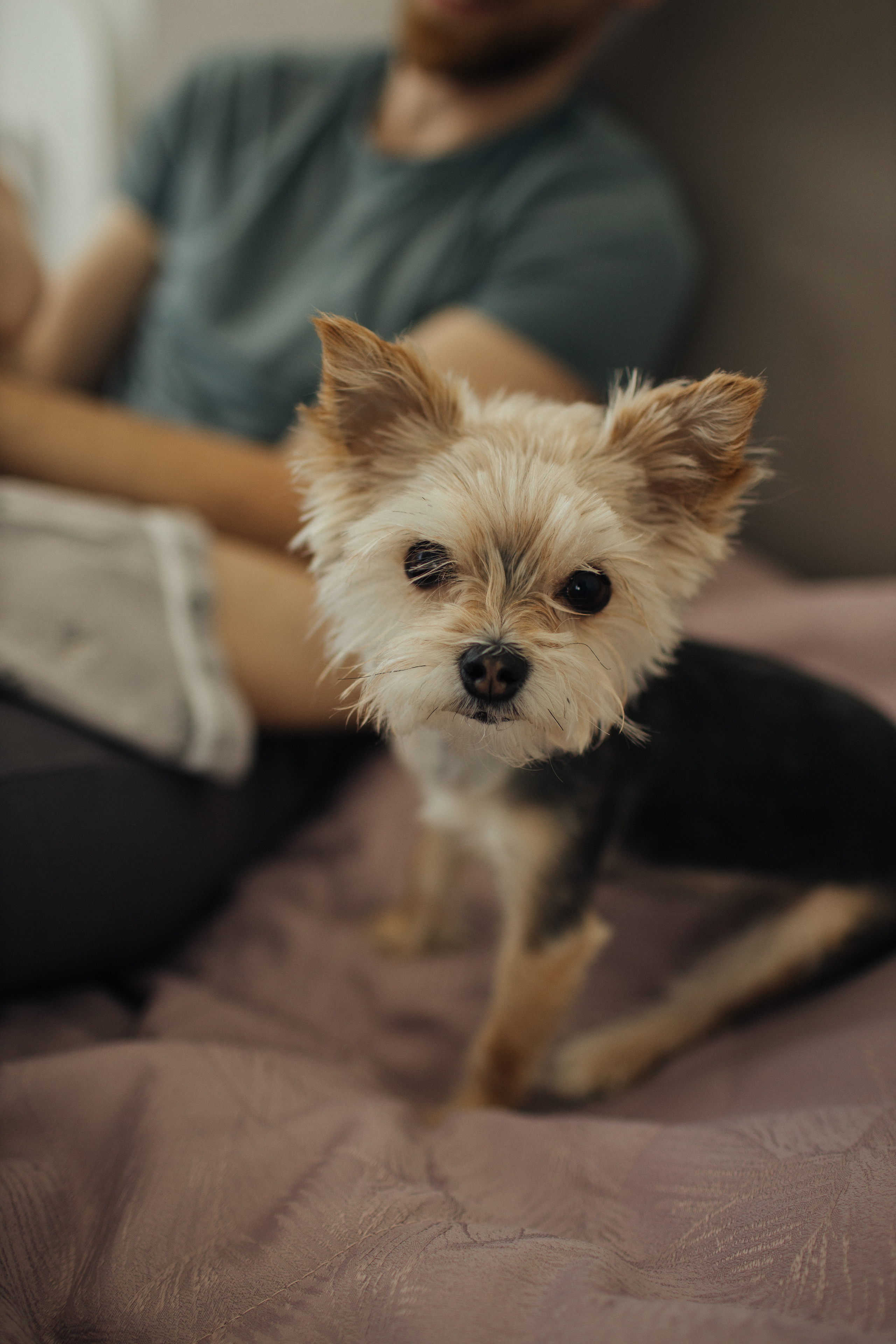 Максим, Лера, Гордей. Главная