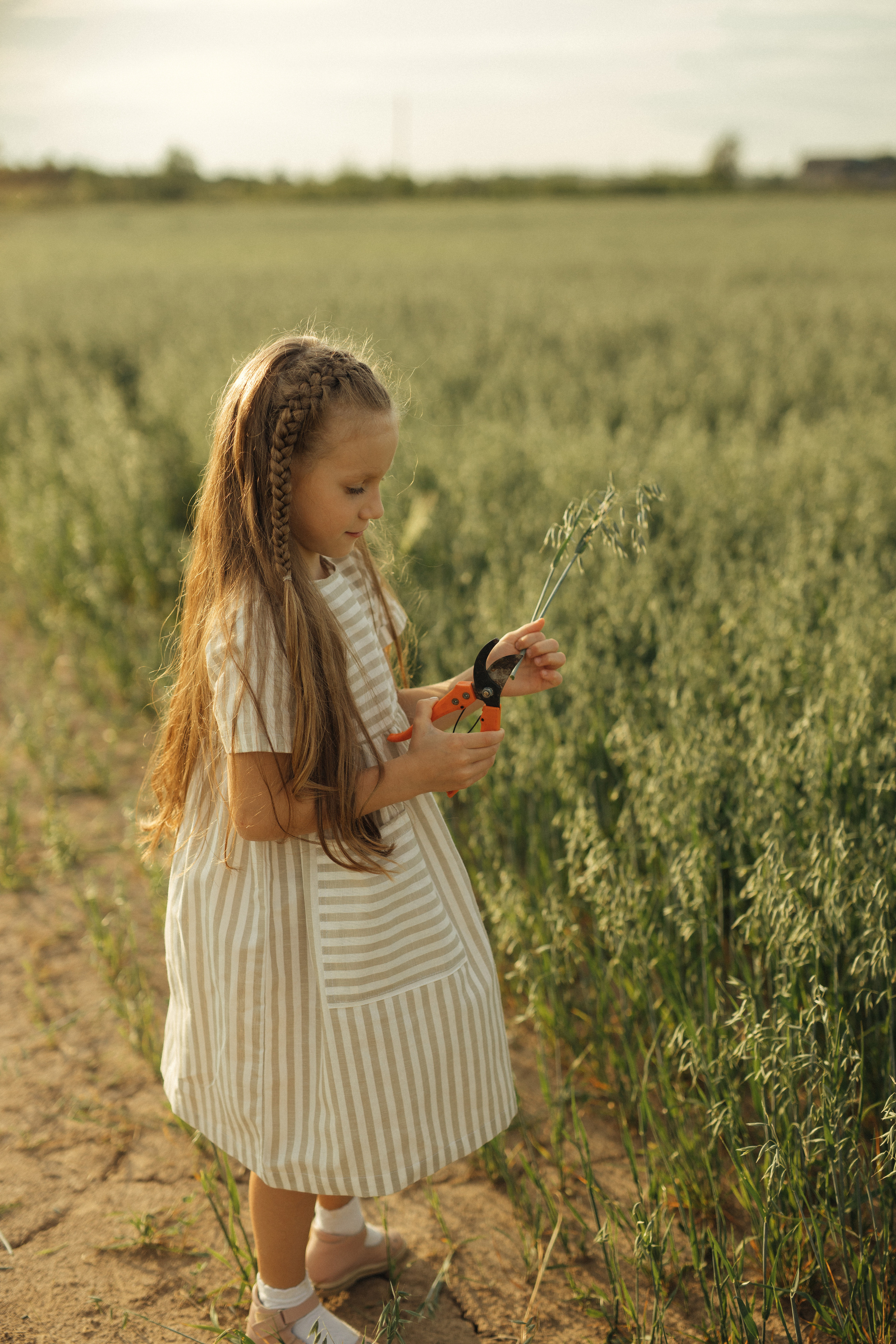 Семейная история. Главная