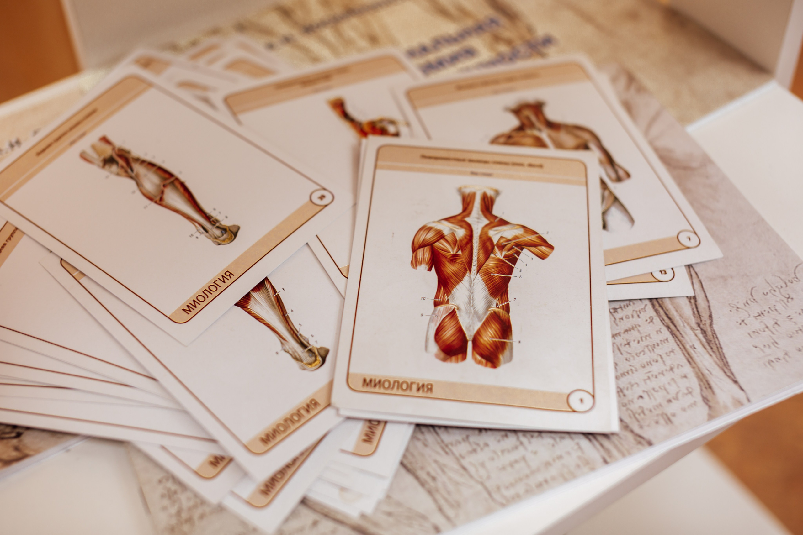 В работе. Https://esmassage.ru