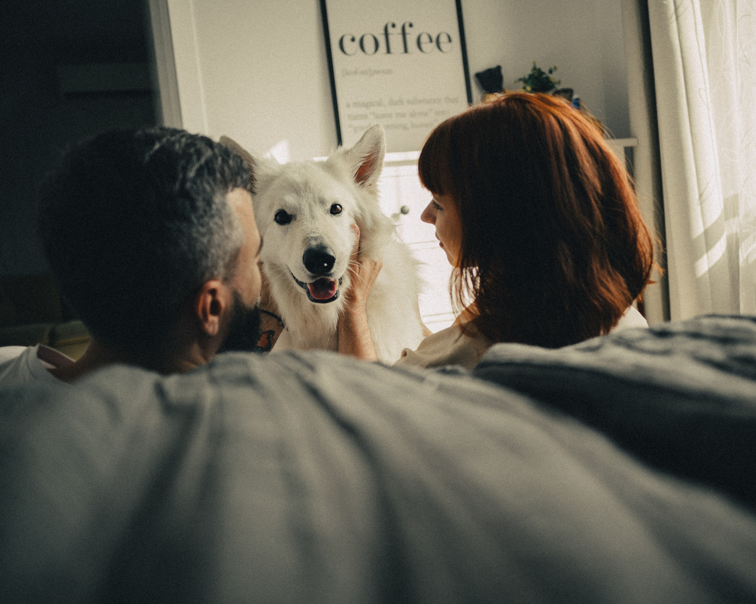 Катя, Костя и Джек