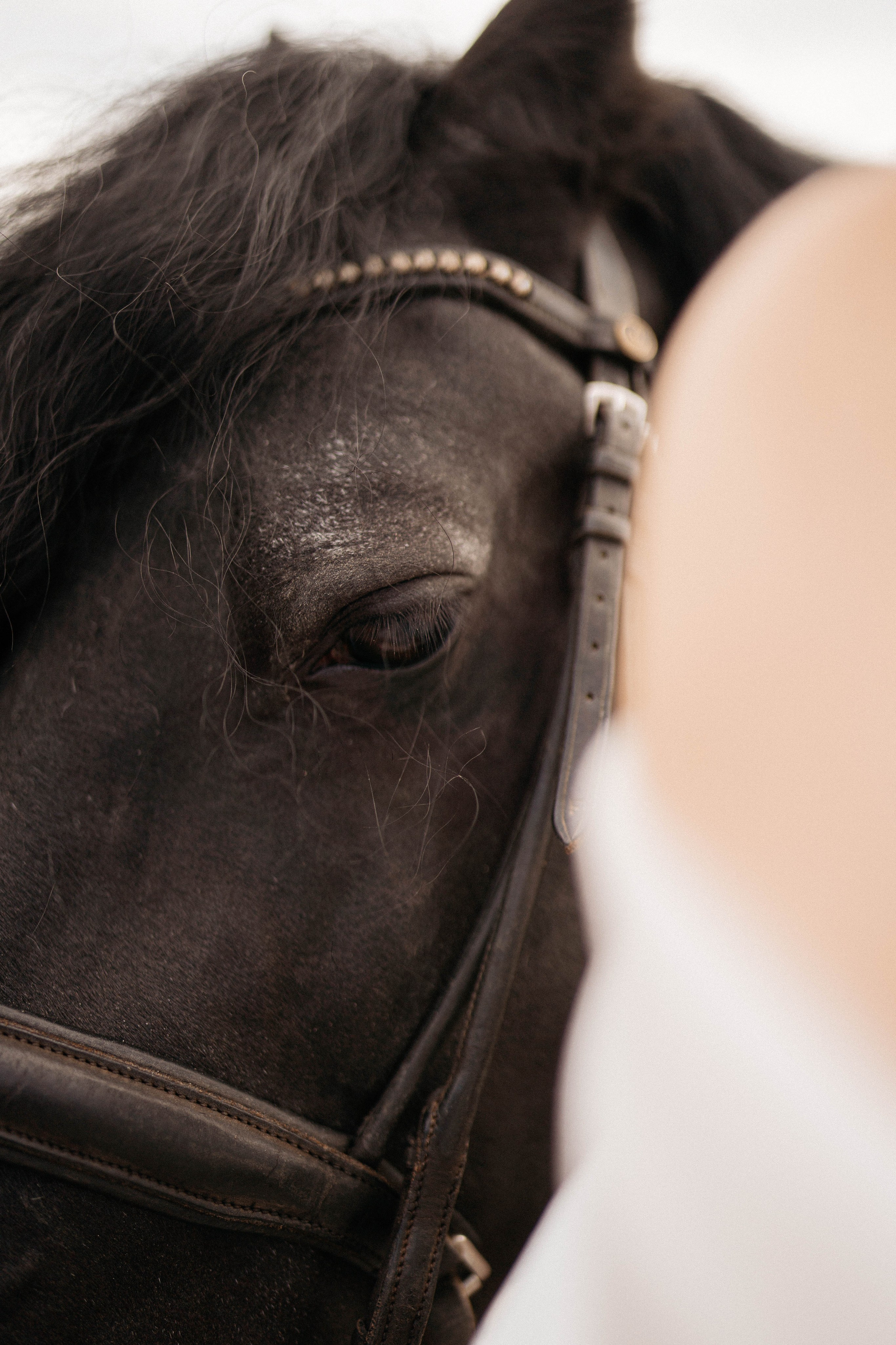 Аристарх & Дарина. Свадебный и семейный фотограф в Перми Дарья Алекс