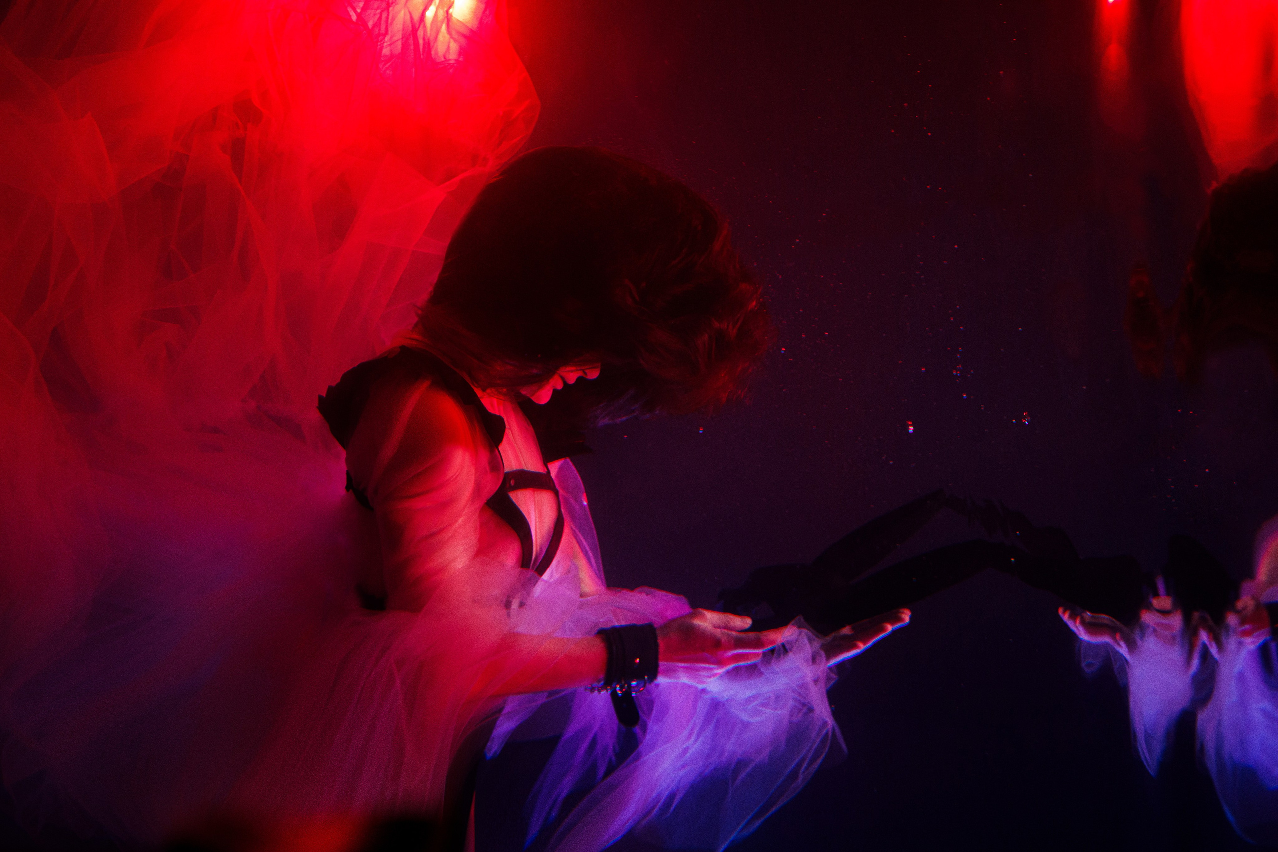 Аква общая. Марковкина КрисТина