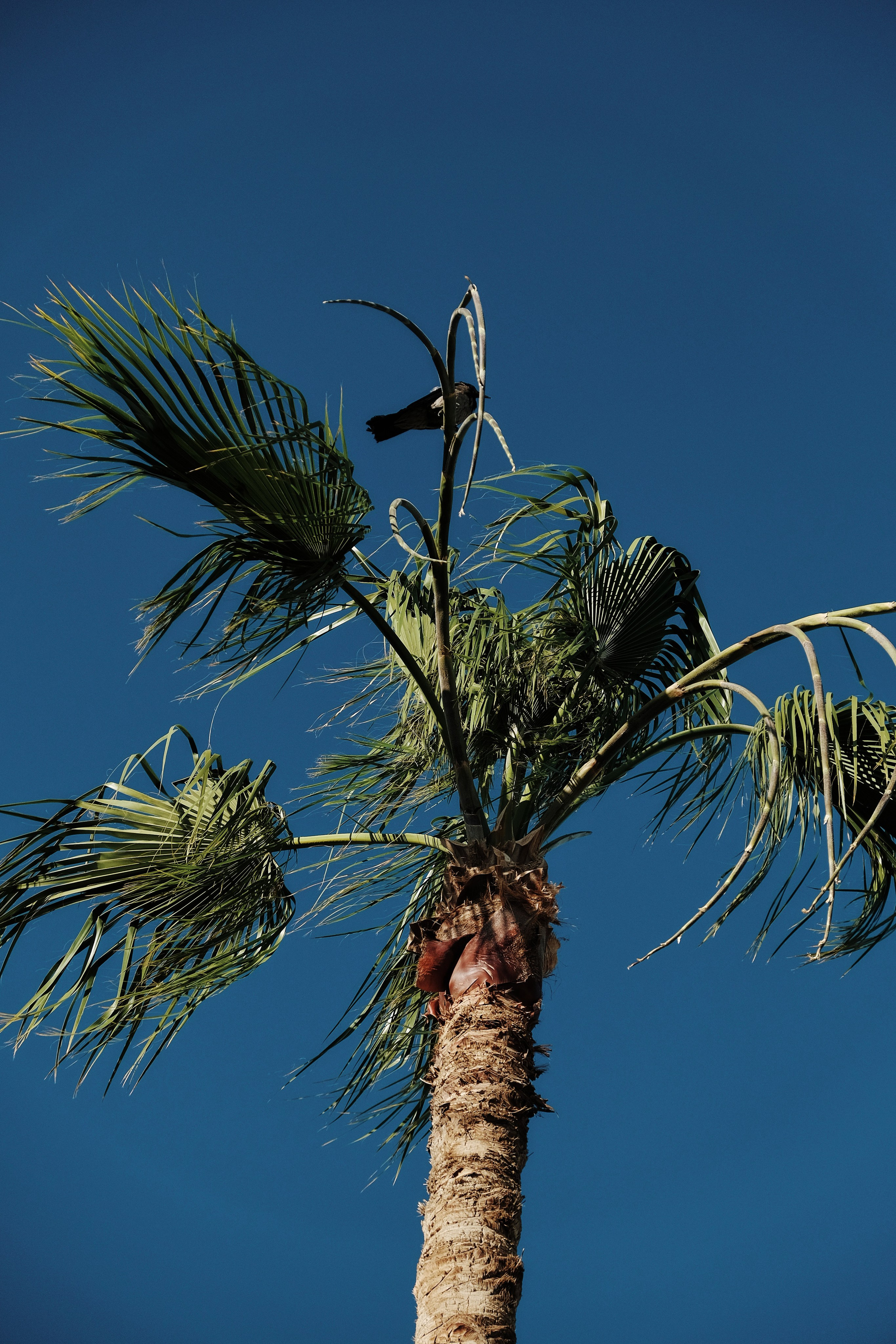 Блог. Персональный фотограф Москва